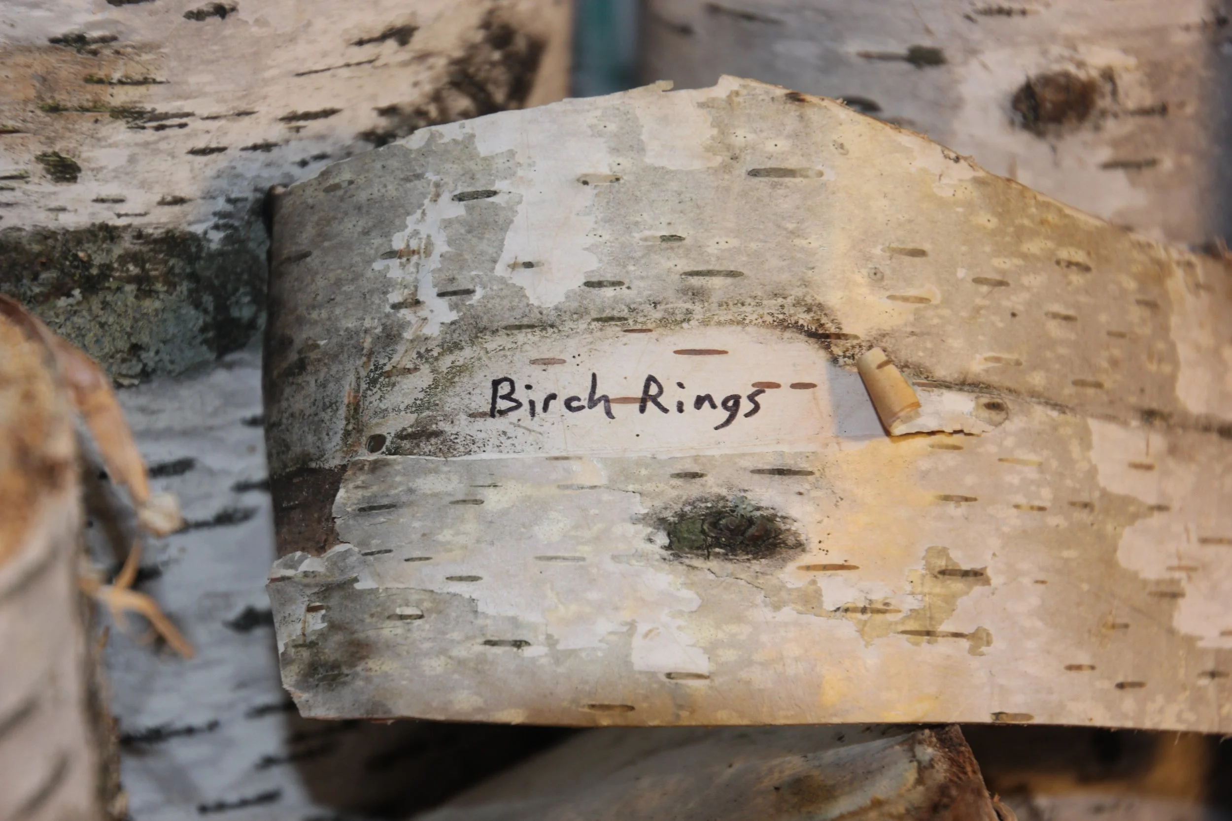 Birchringssign.jpg
