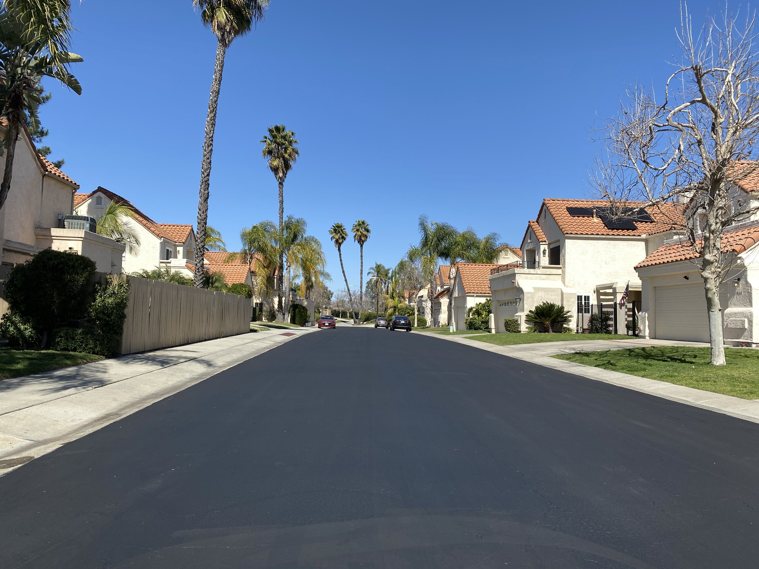  A freshly sealed residential street with palm trees 