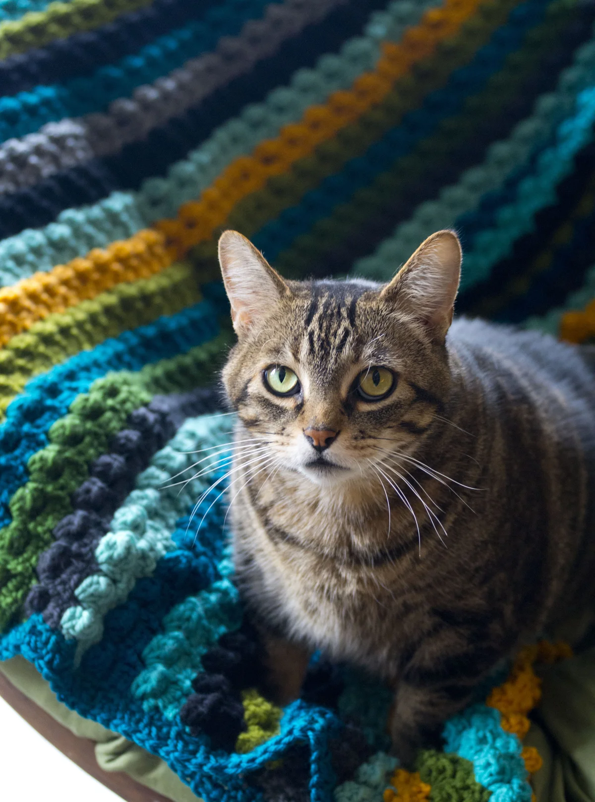 bobble_bedspread_3_sm.jpg