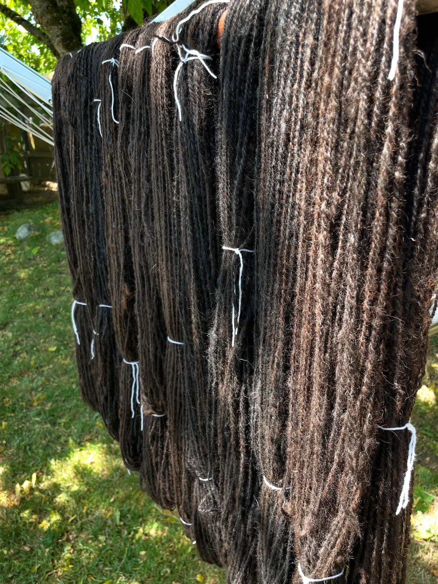 Finally got my handspun alpaca all washed up and drying in the sun. Now the hard part is to decide what to knit with it… #spinningwool #alpaca #handspunalpaca #handspun