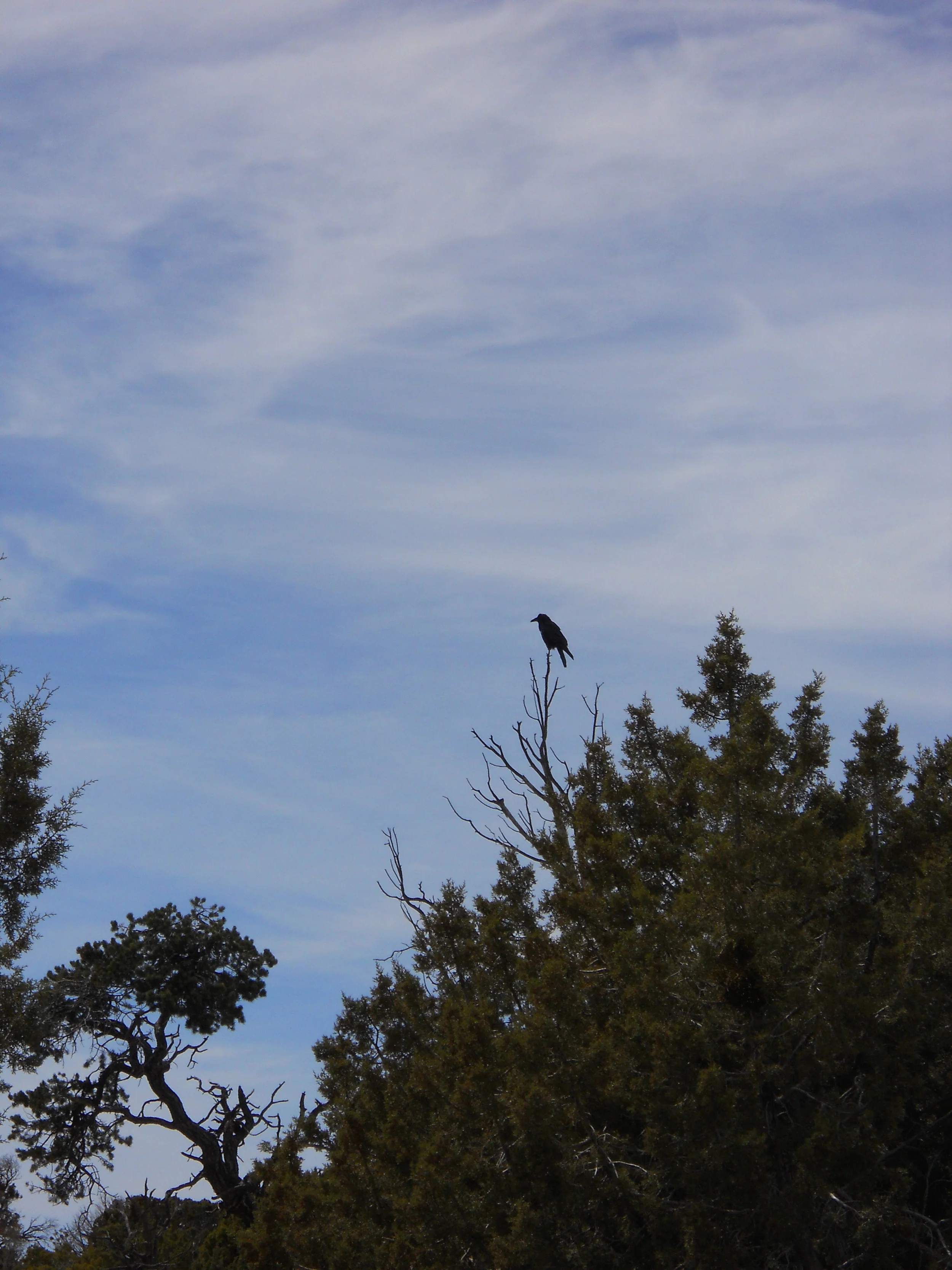 DSCN0564.JPG