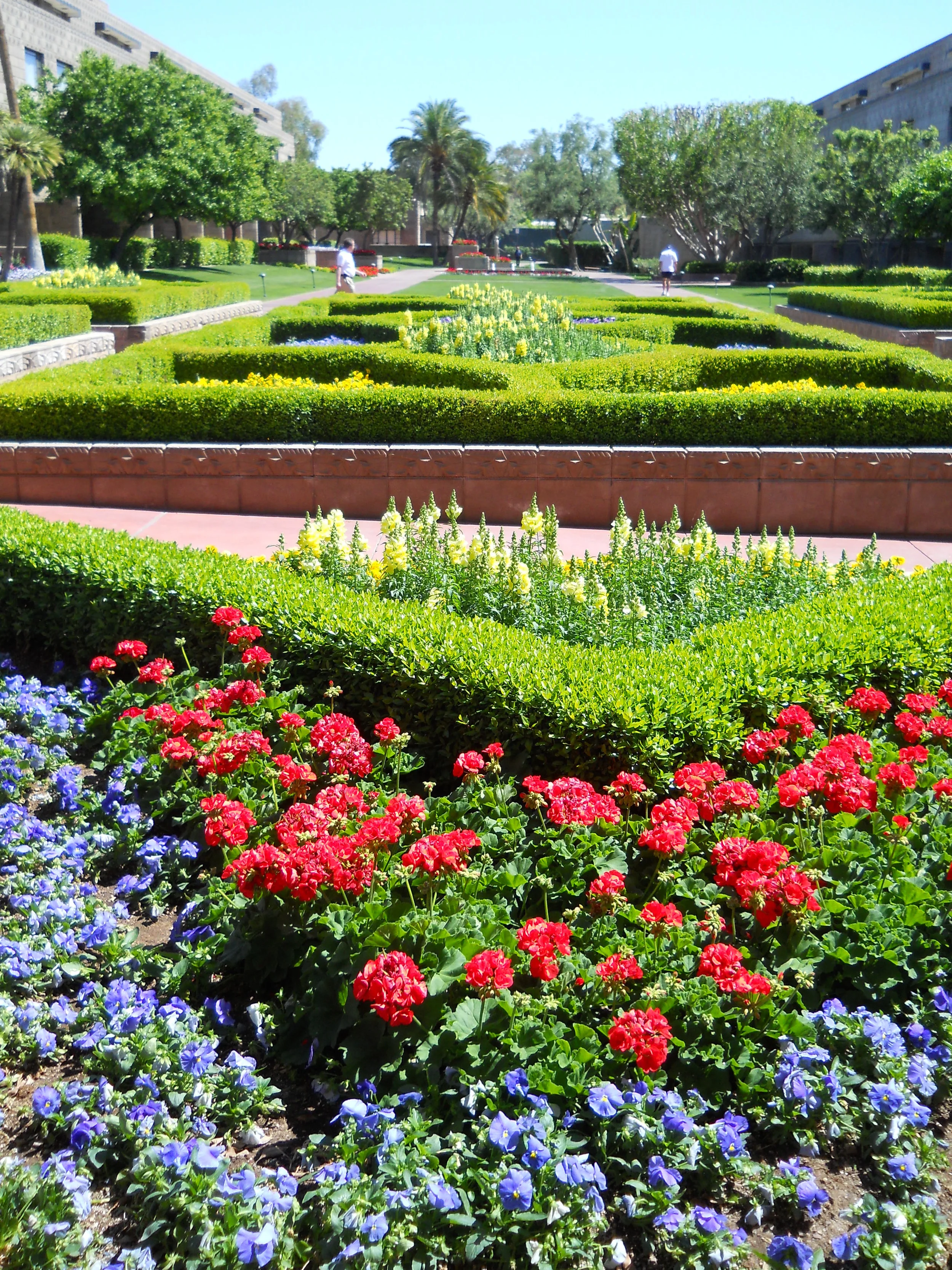 DSCN0605.JPG