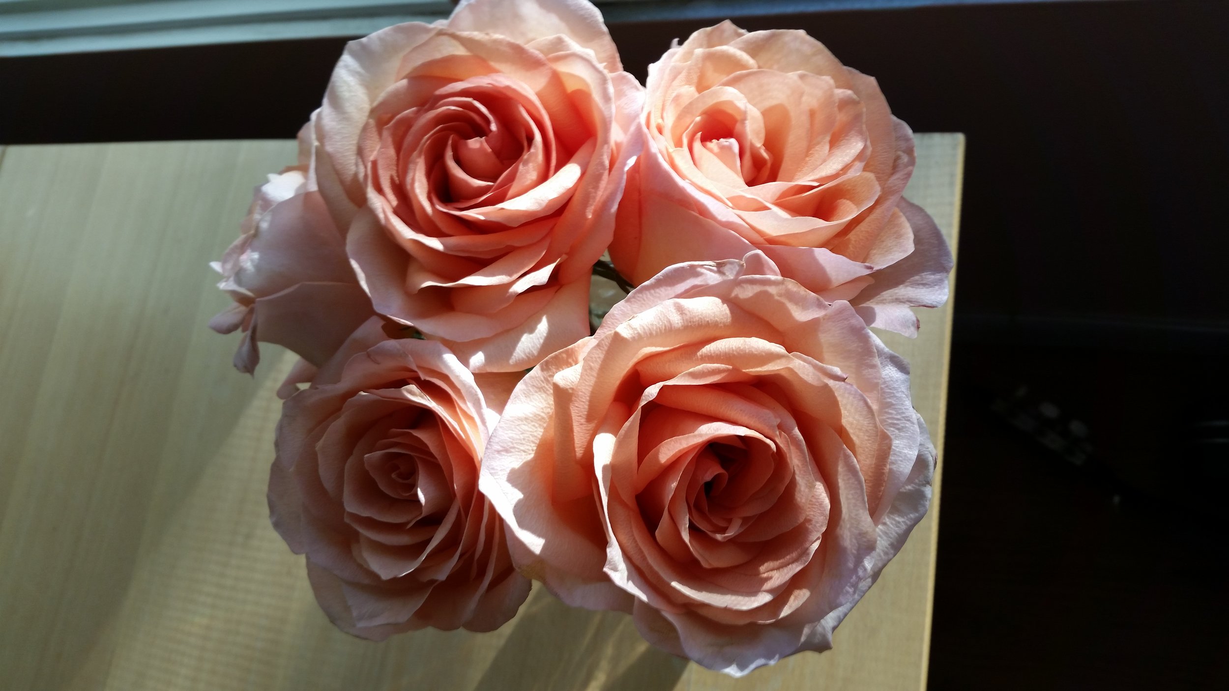20160604_183822.jpg