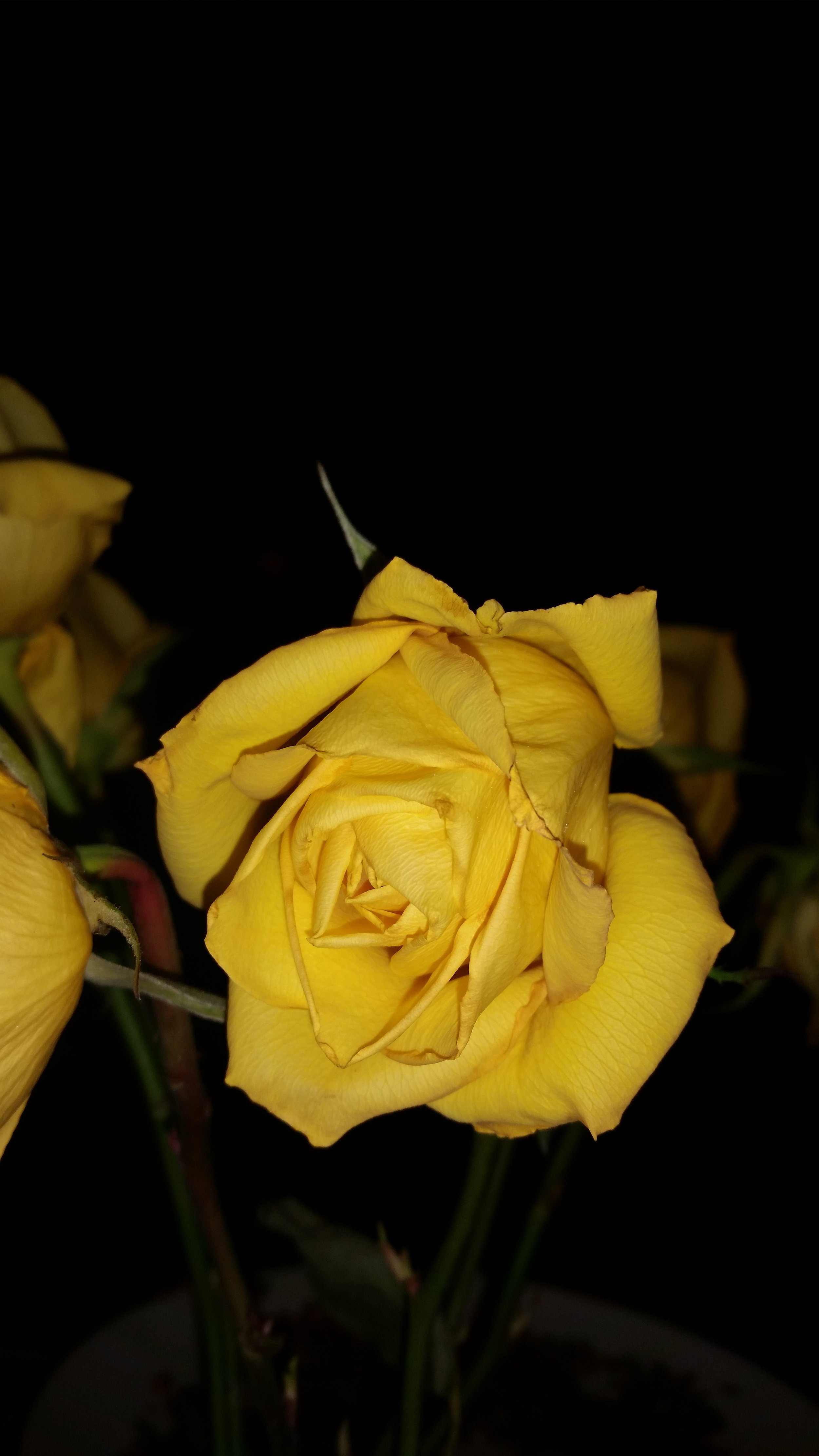 20150820_211822.jpg