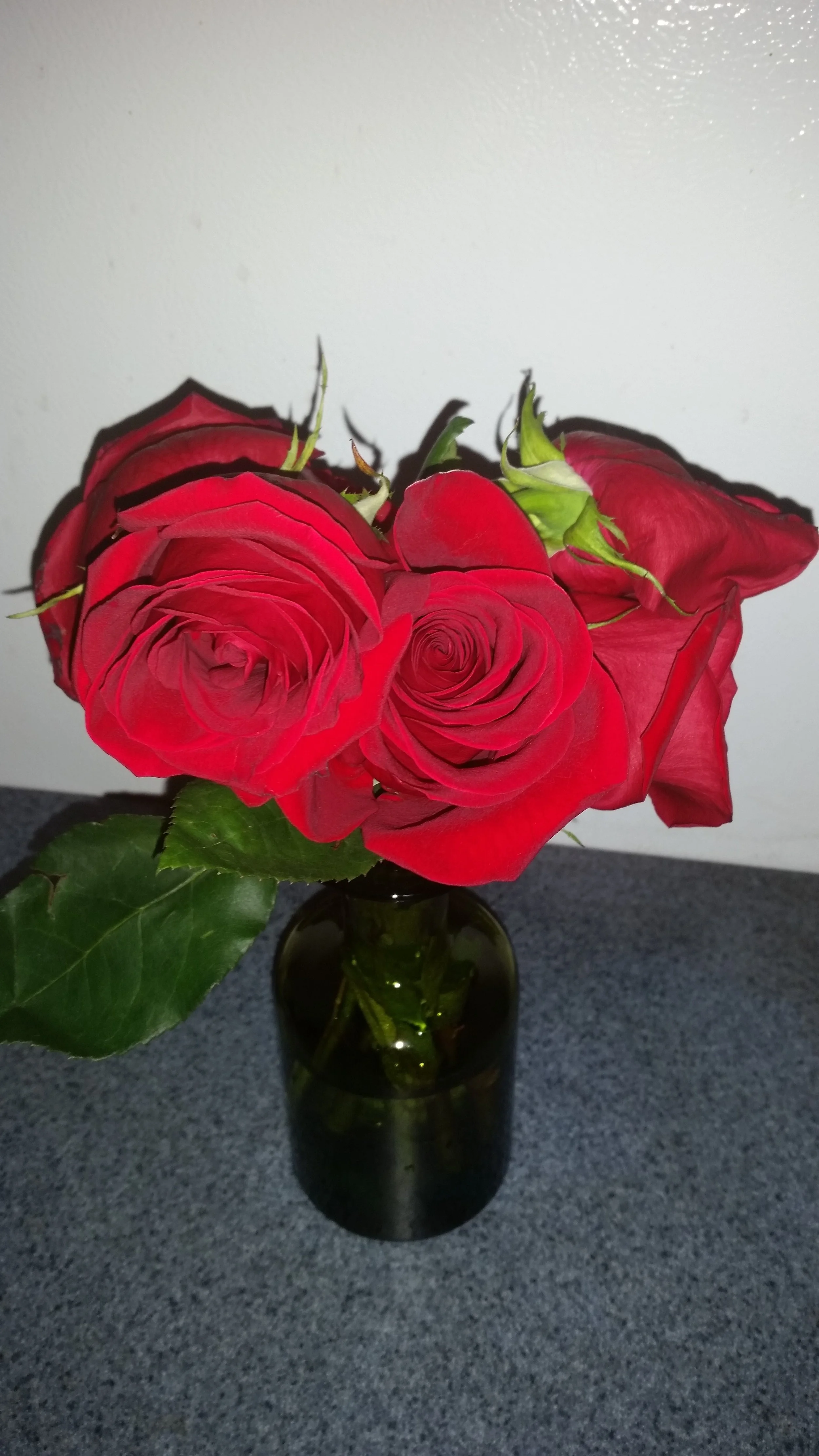 20150825_223529.jpg