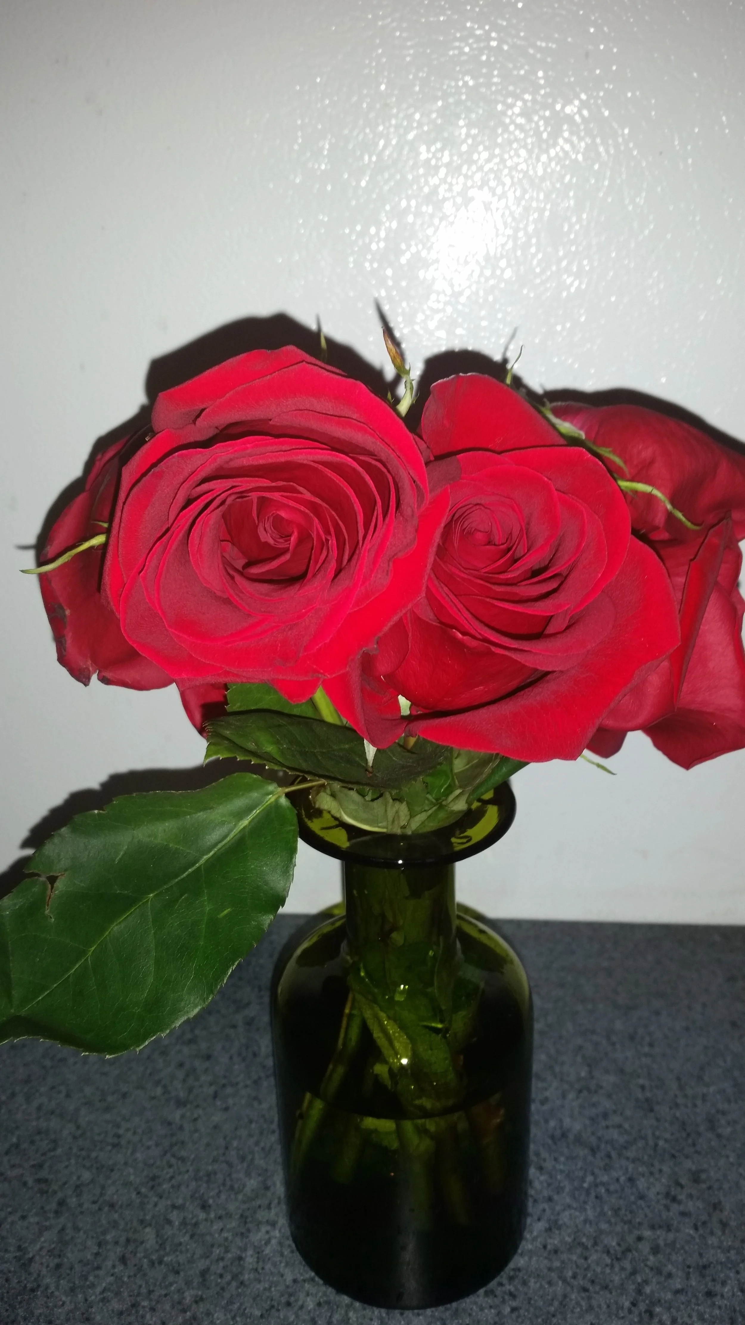 20150825_223553.jpg
