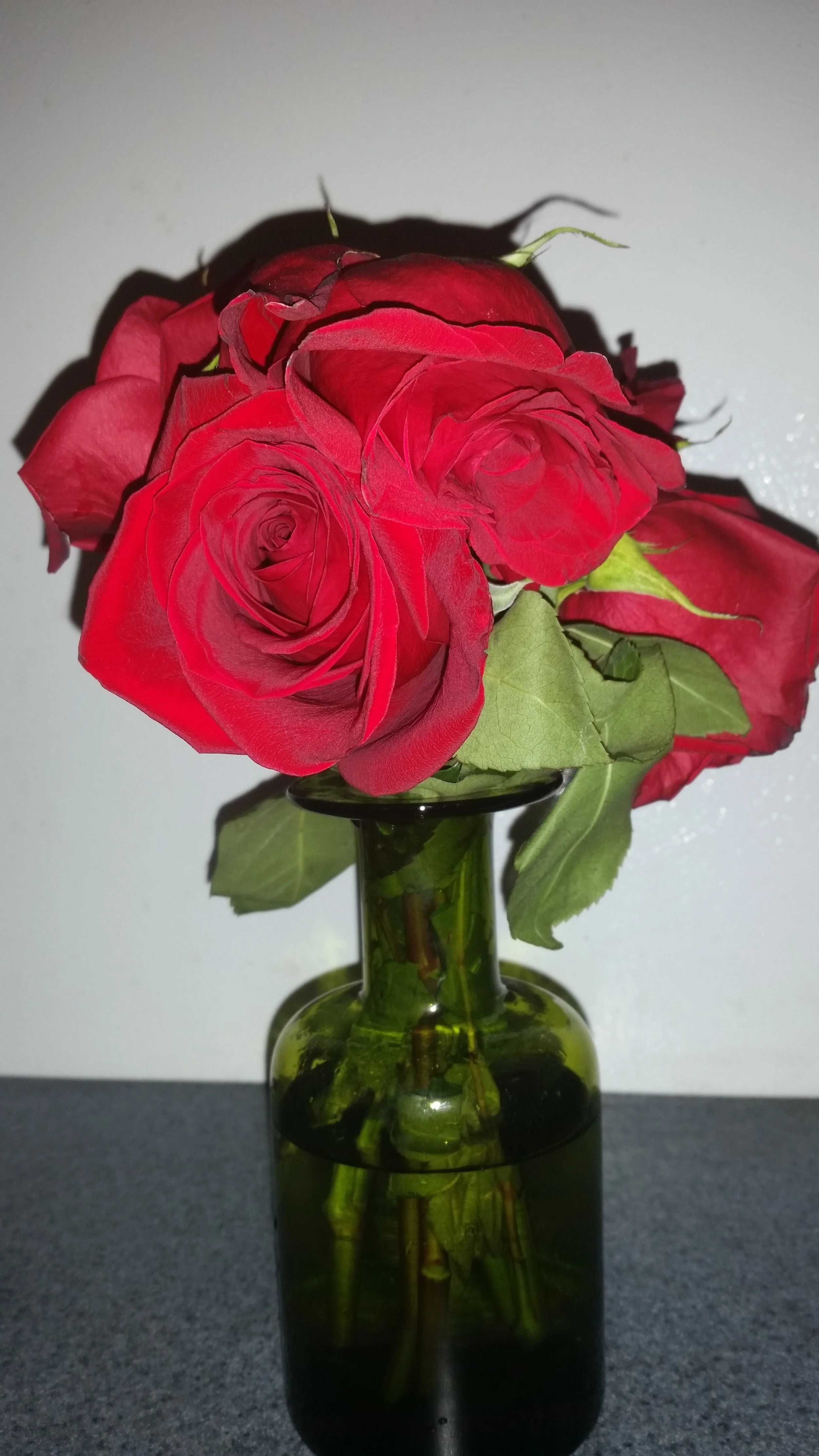20150825_223627.jpg