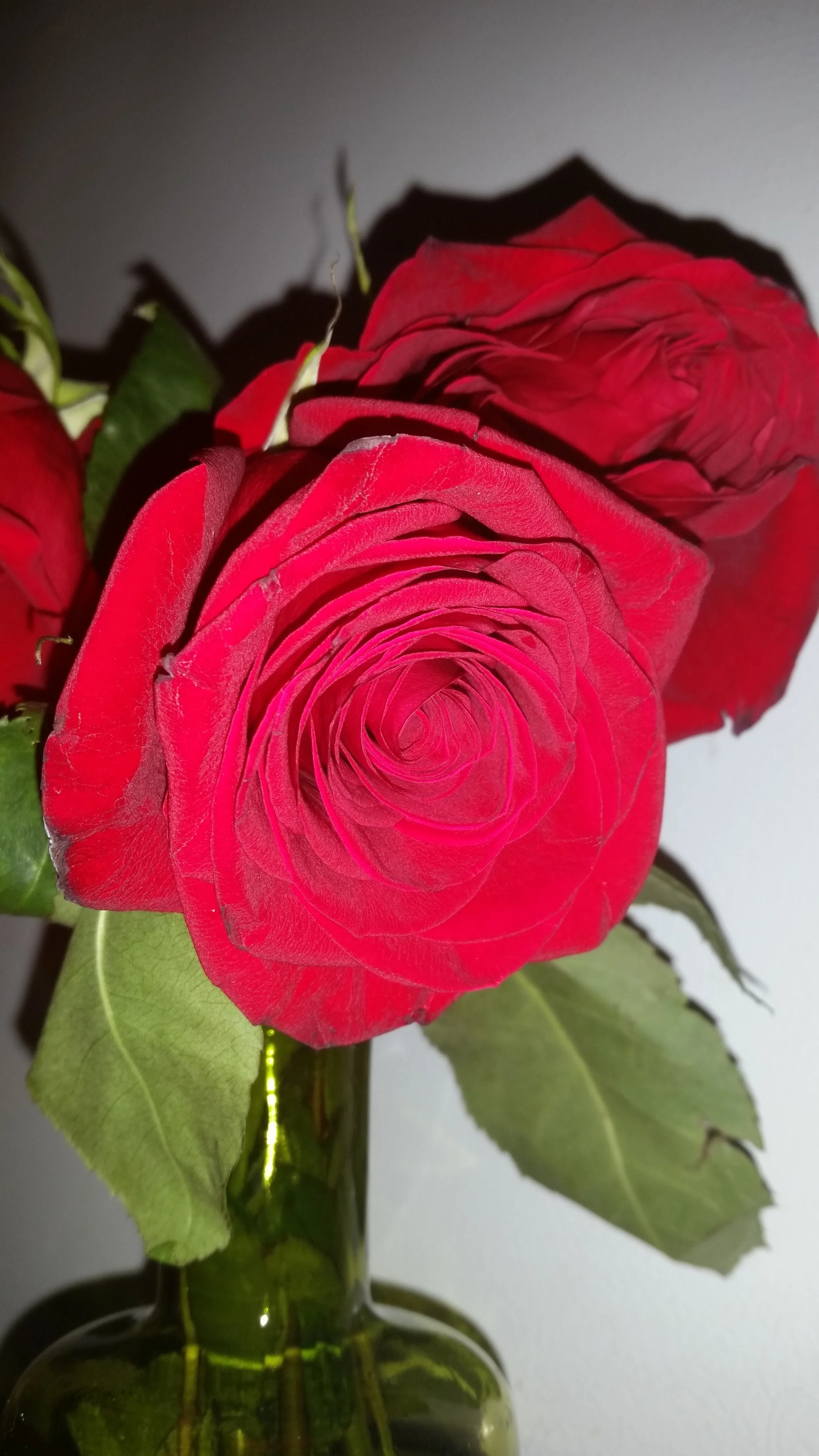 20150825_223713.jpg