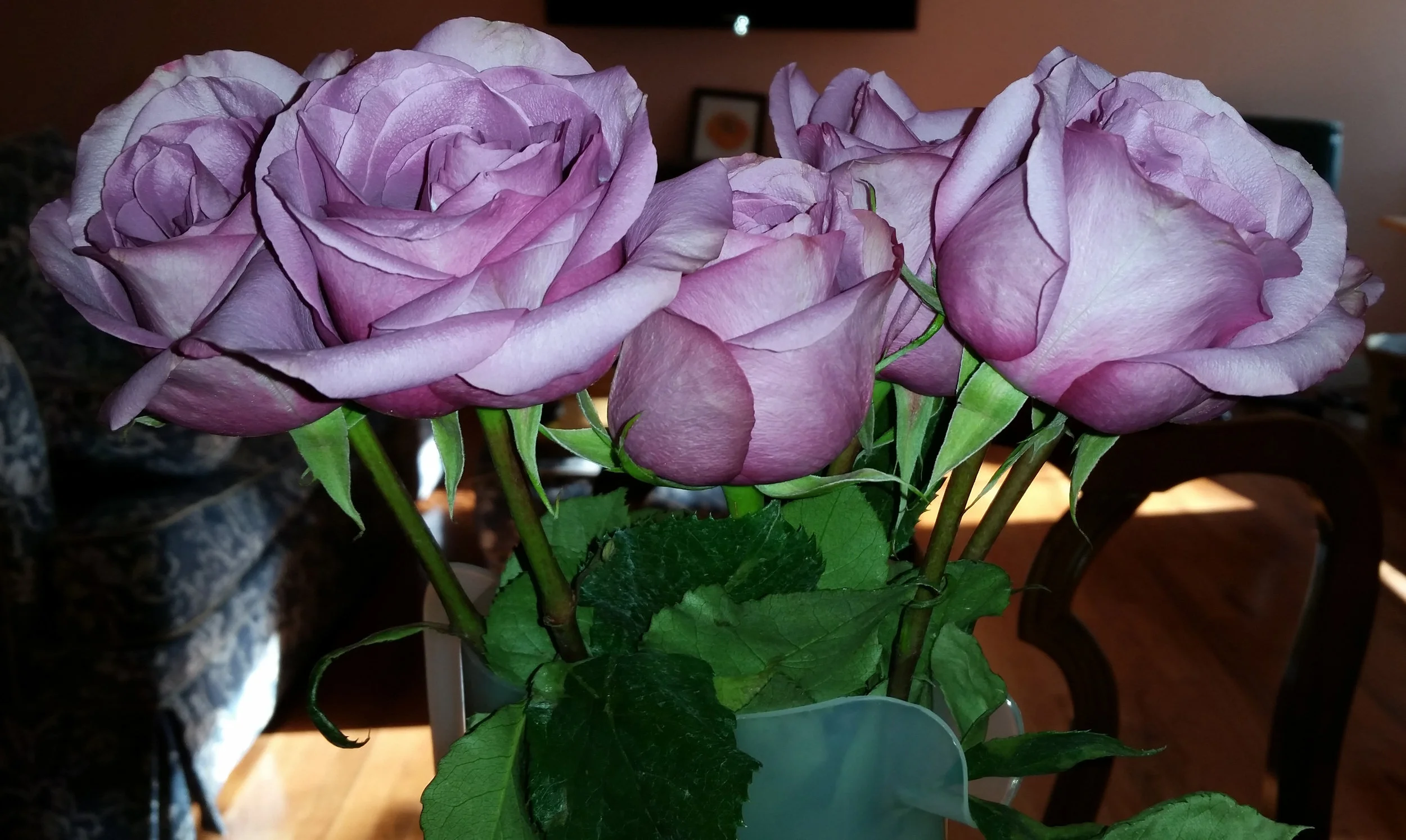 20150907_162255.crop.jpg