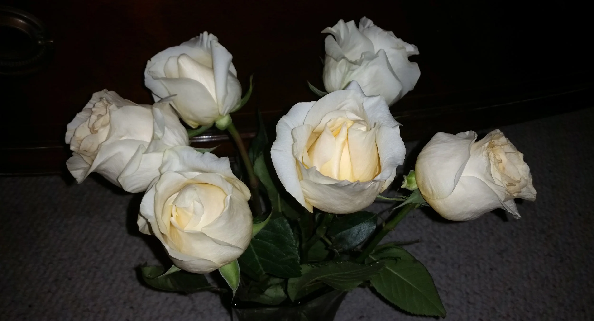 20150923_003309-crop.jpg