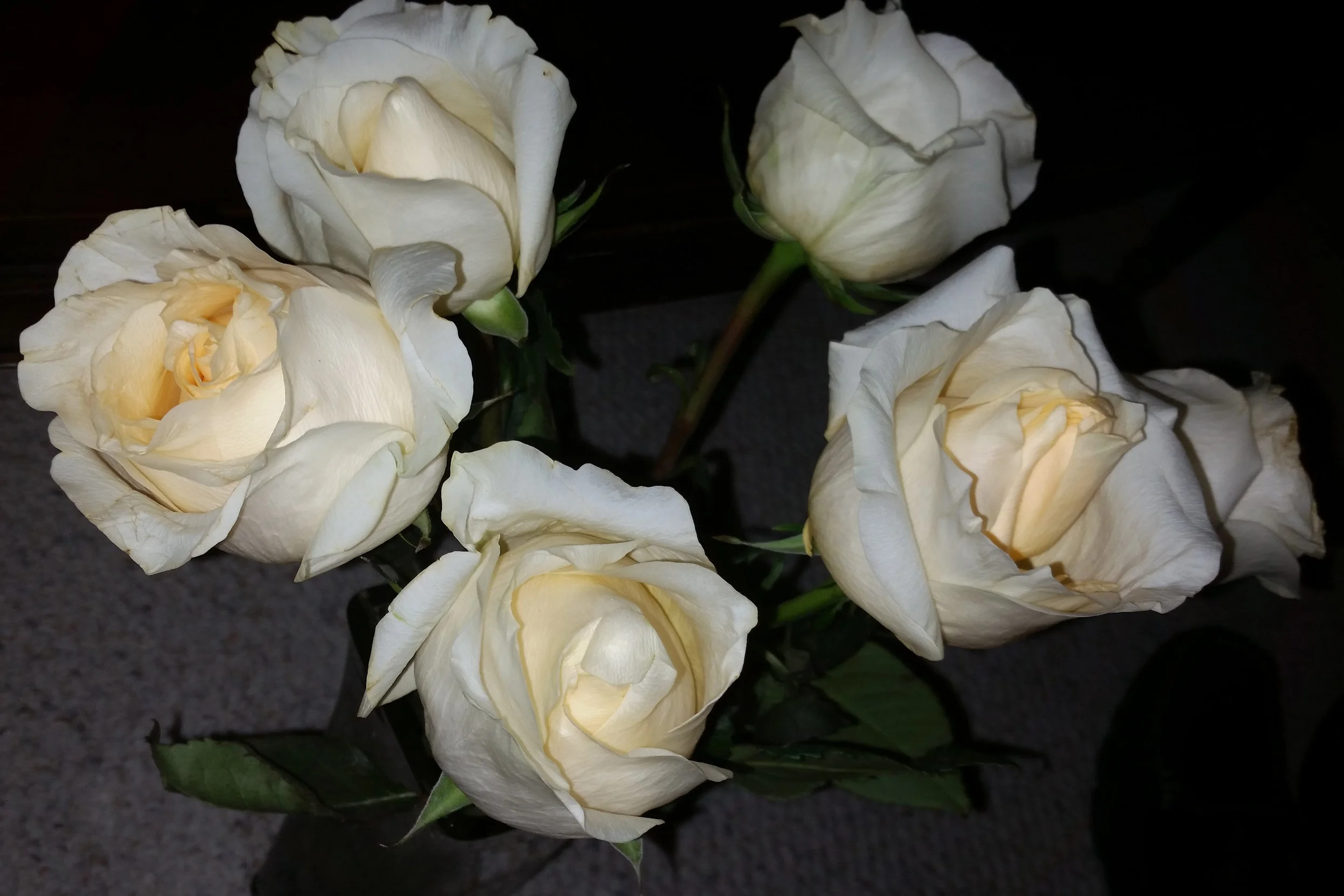 20150923_003416-crop.jpg