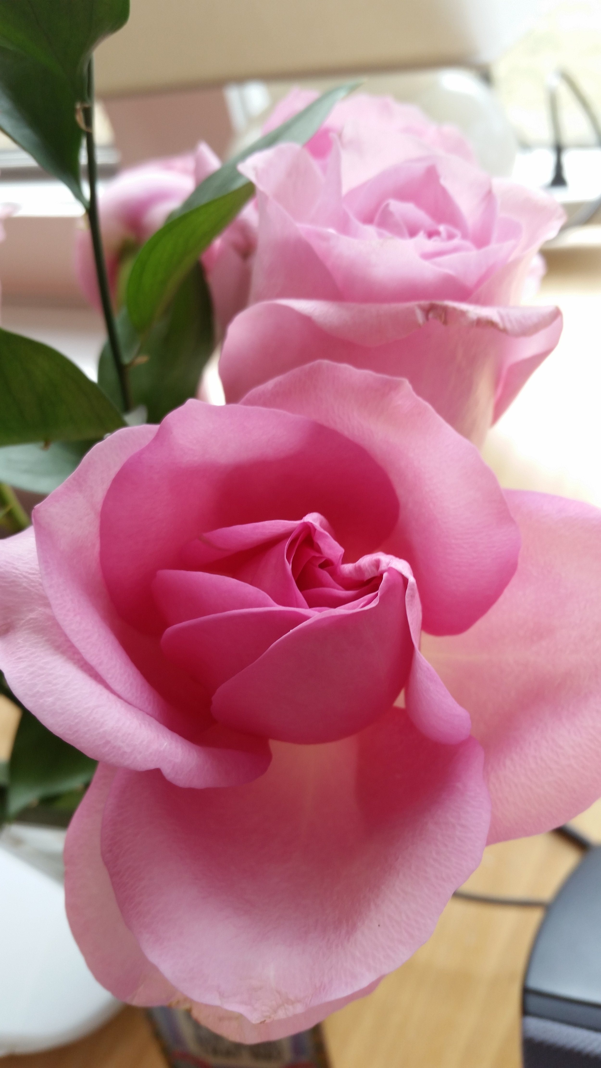 20160316_145337.jpg