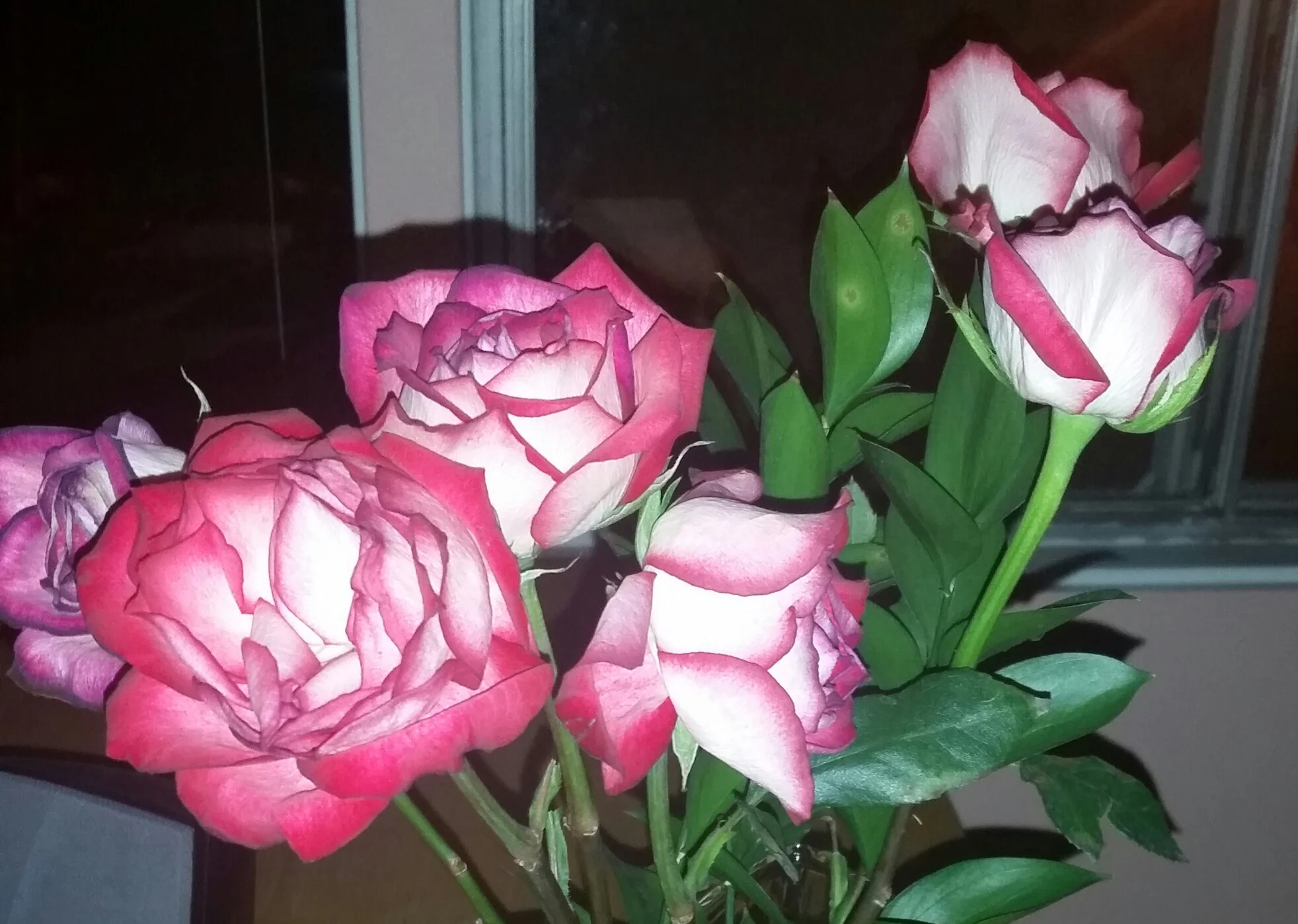 20160406_221015-1-crop.jpg