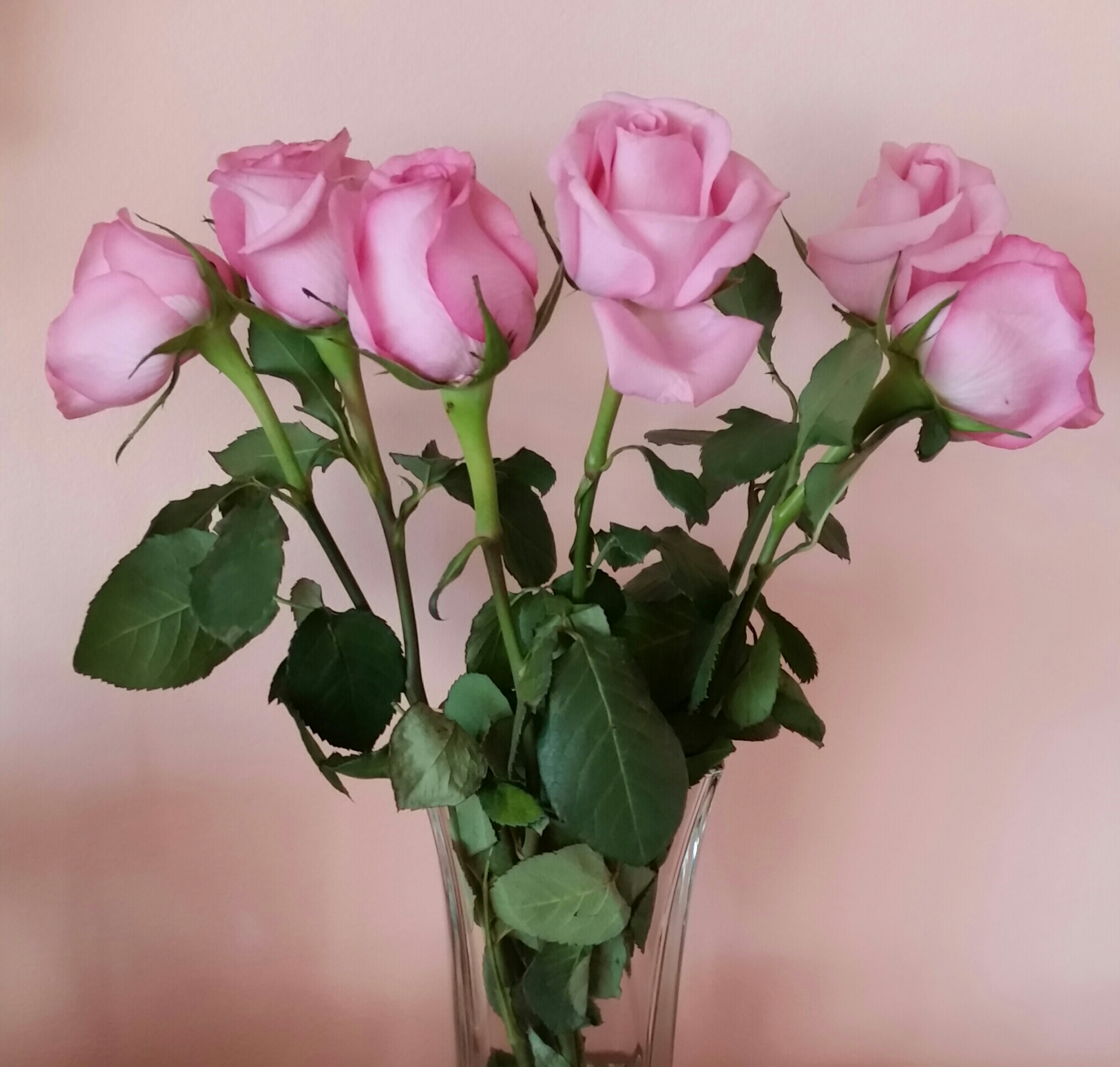 20160420_181800-1-1.jpg
