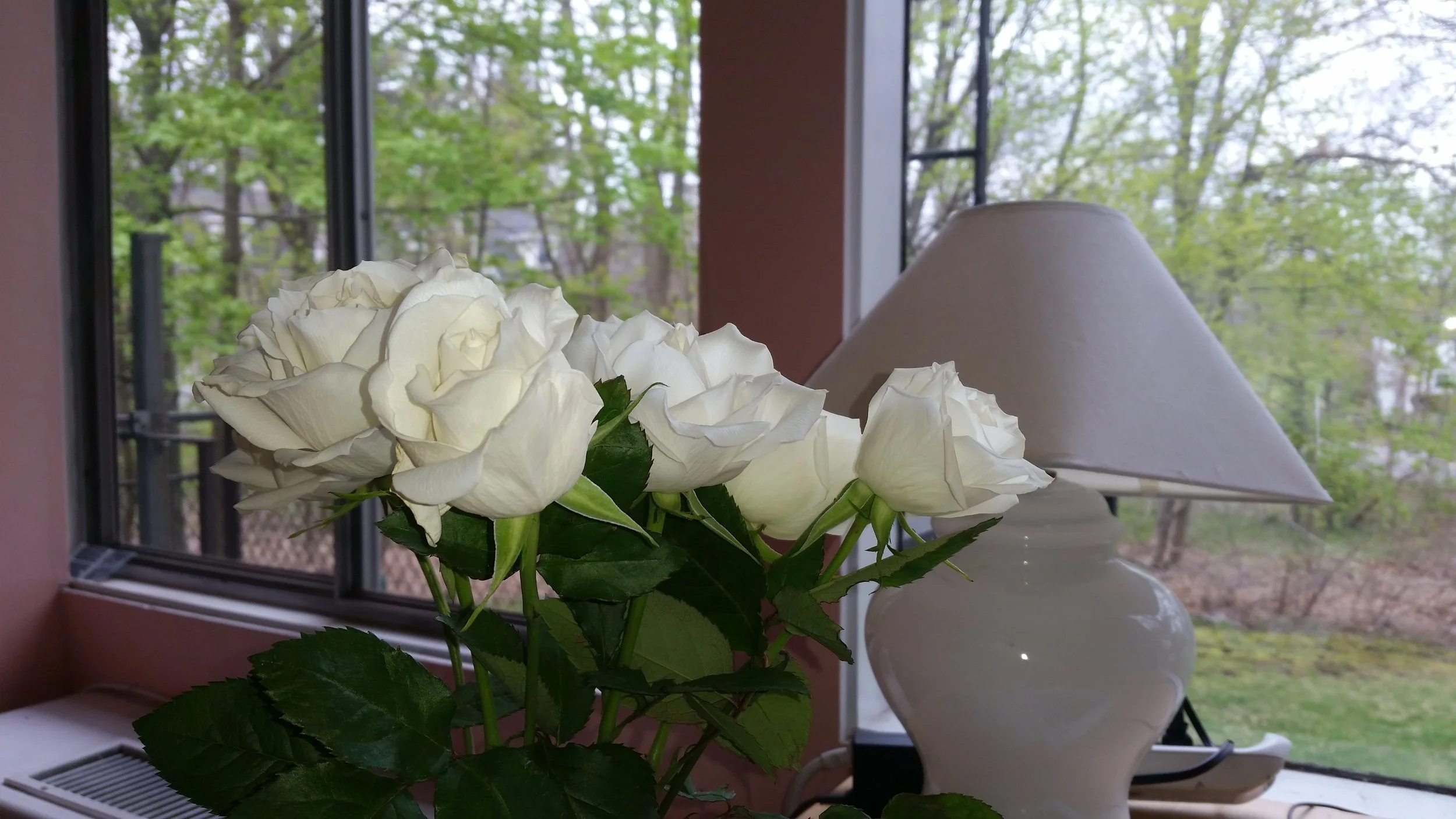 20160504_122314.jpg
