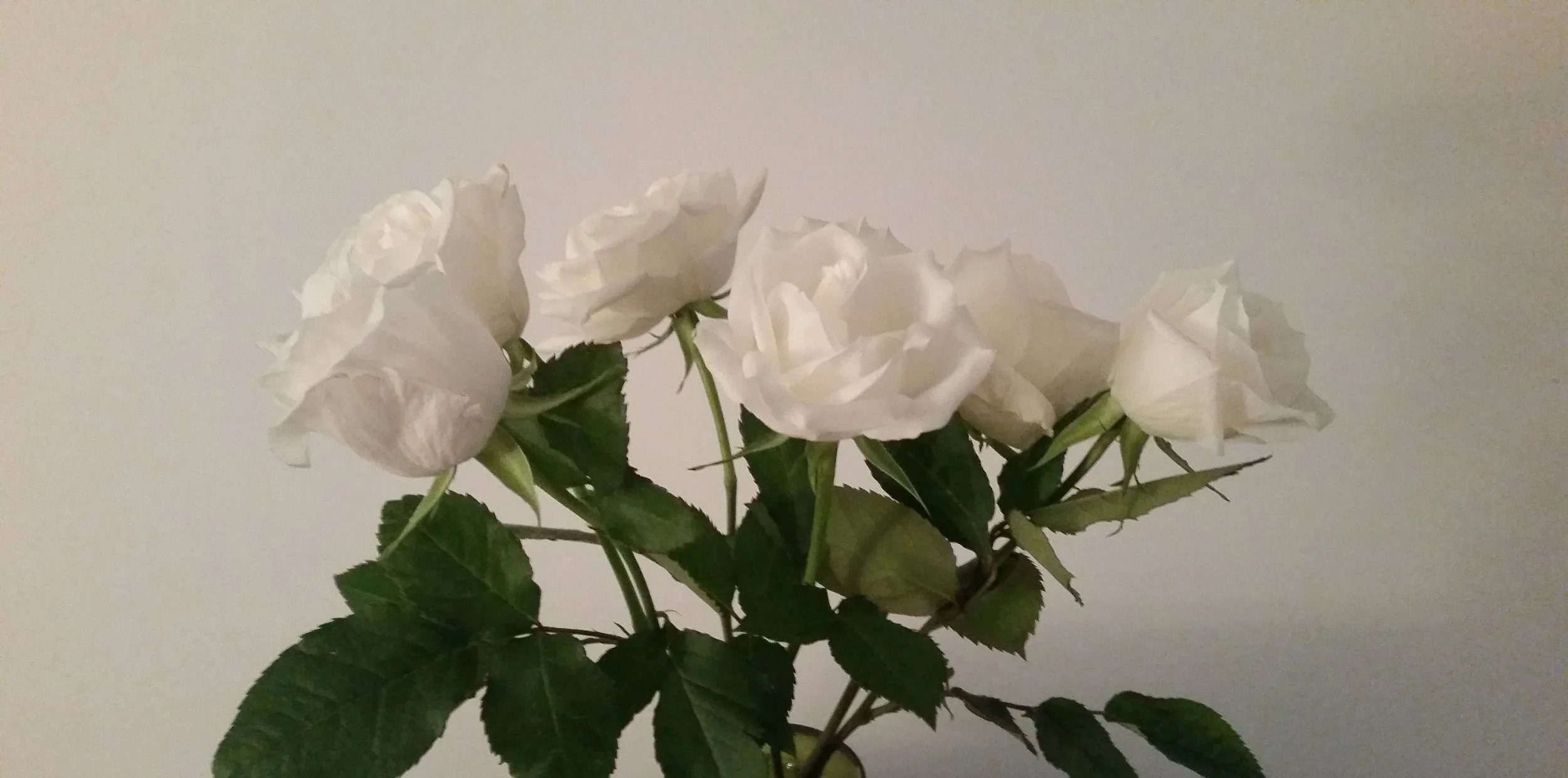 20160505-crop.jpg