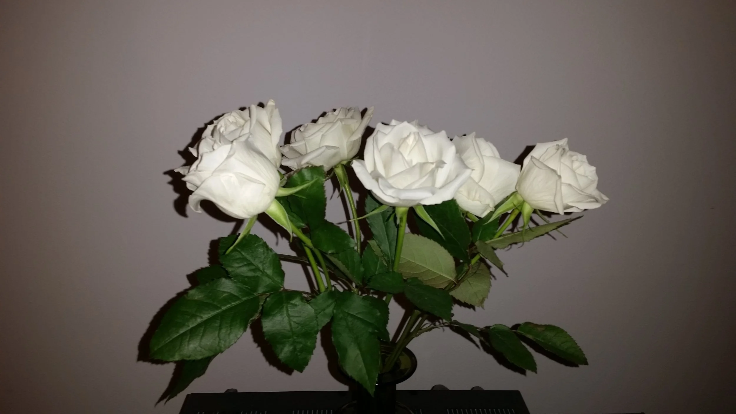 20160505_084719.jpg