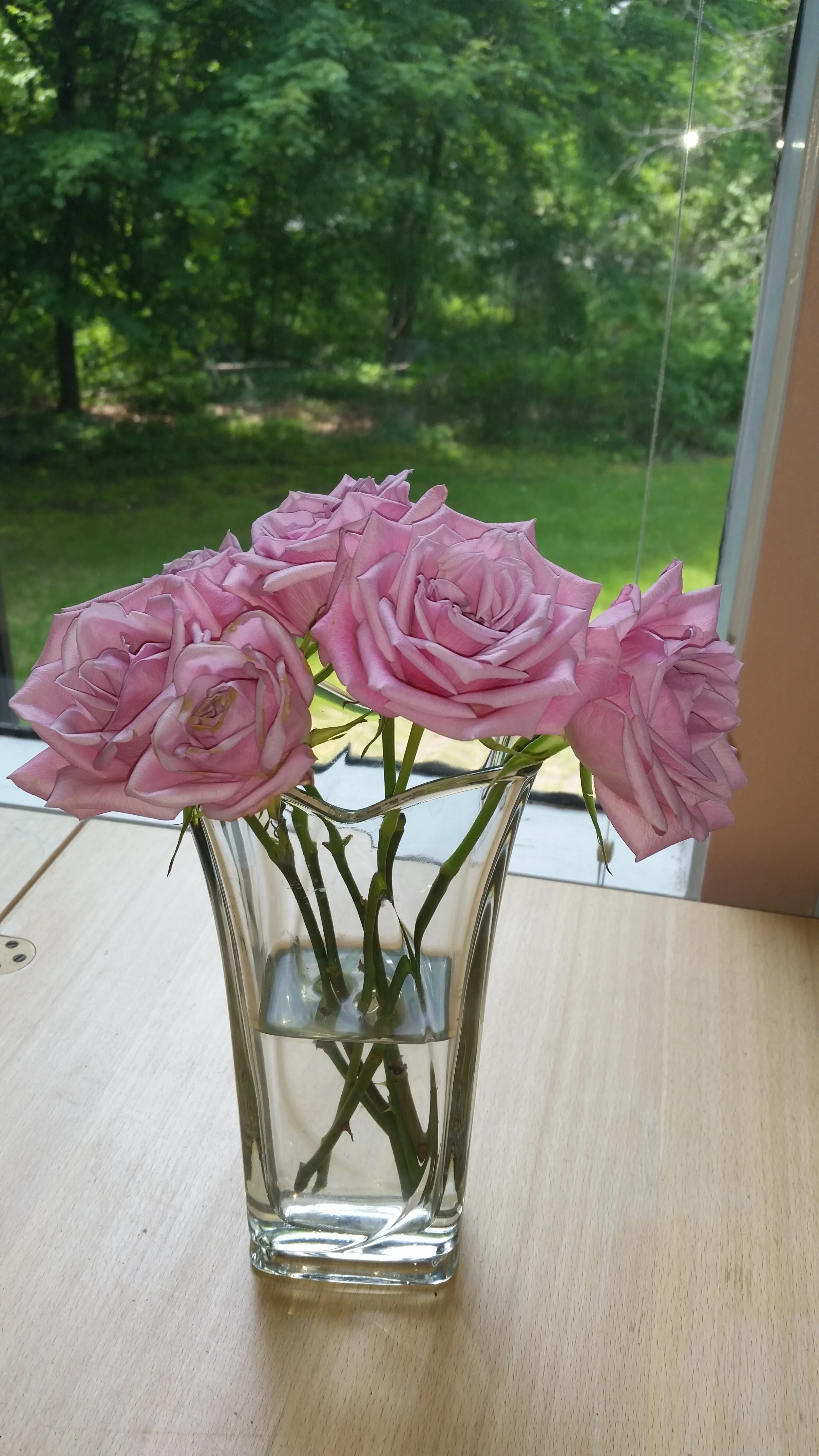20160526_130911.jpg