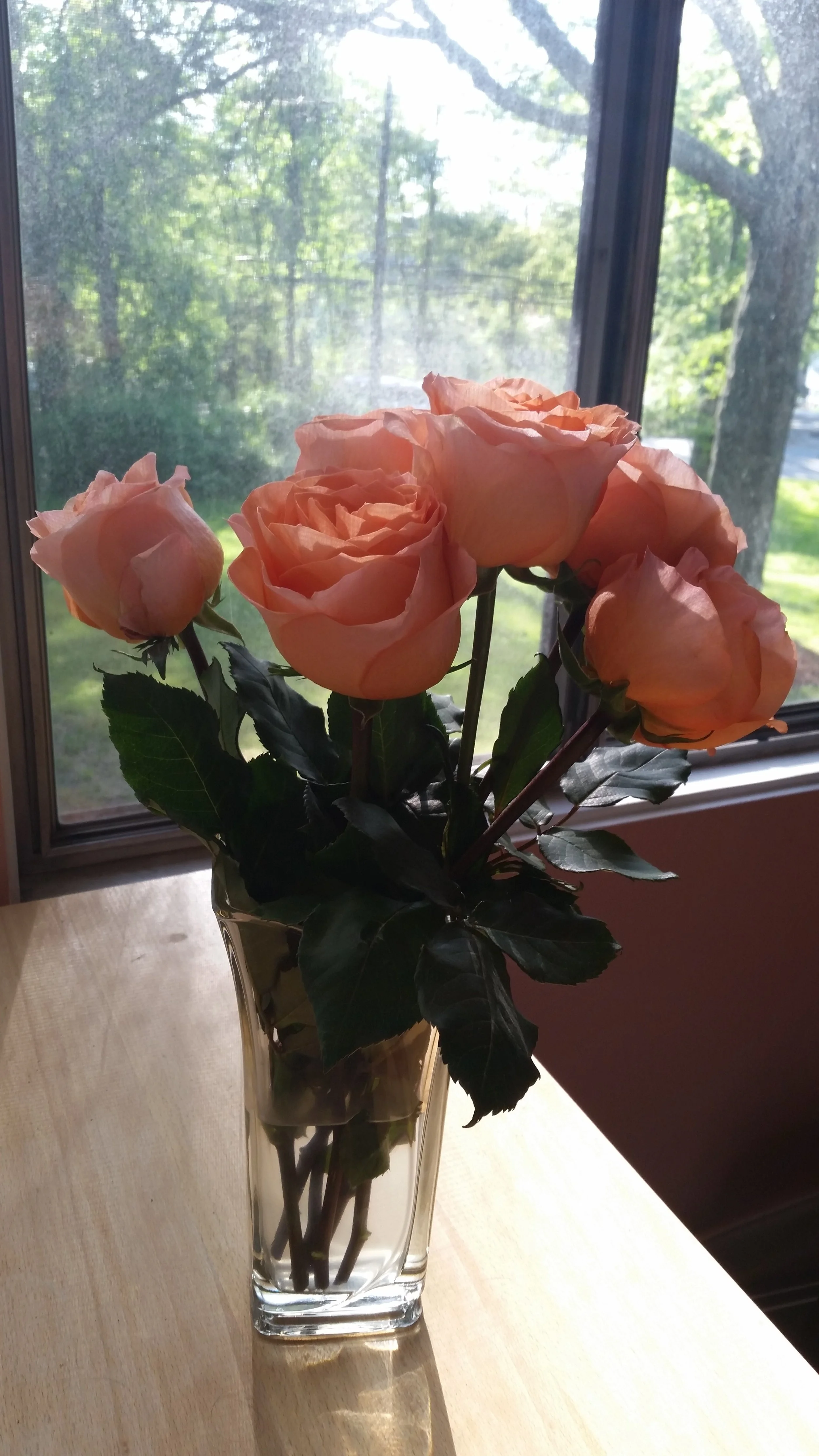 20160531_174448.jpg