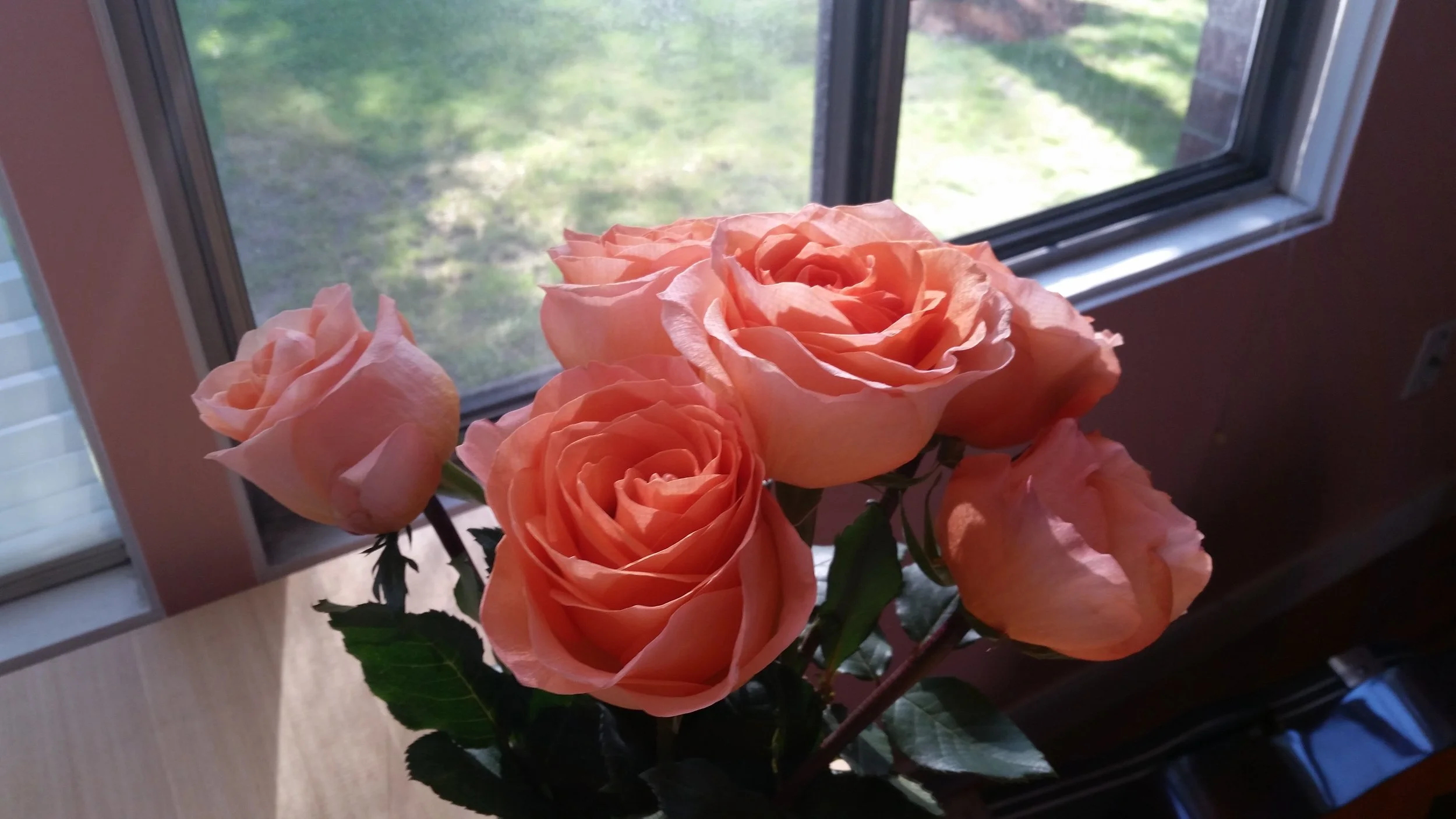 20160531_174535.jpg