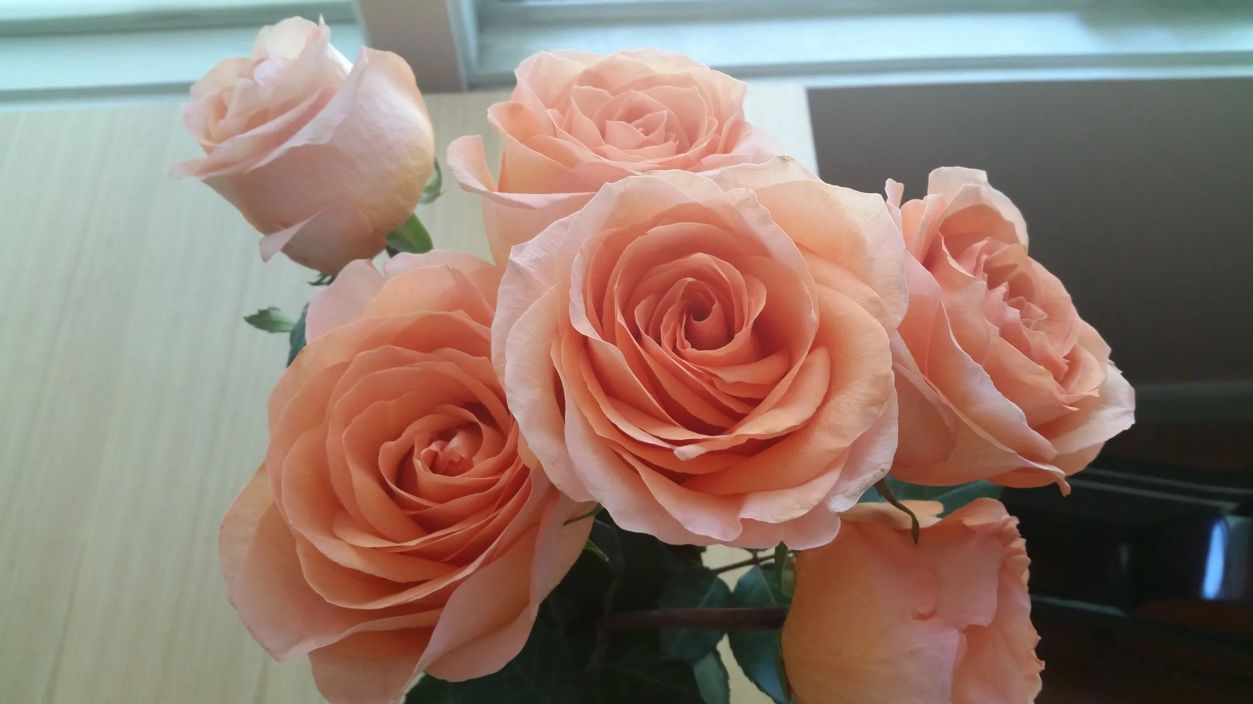 20160601_104908.jpg