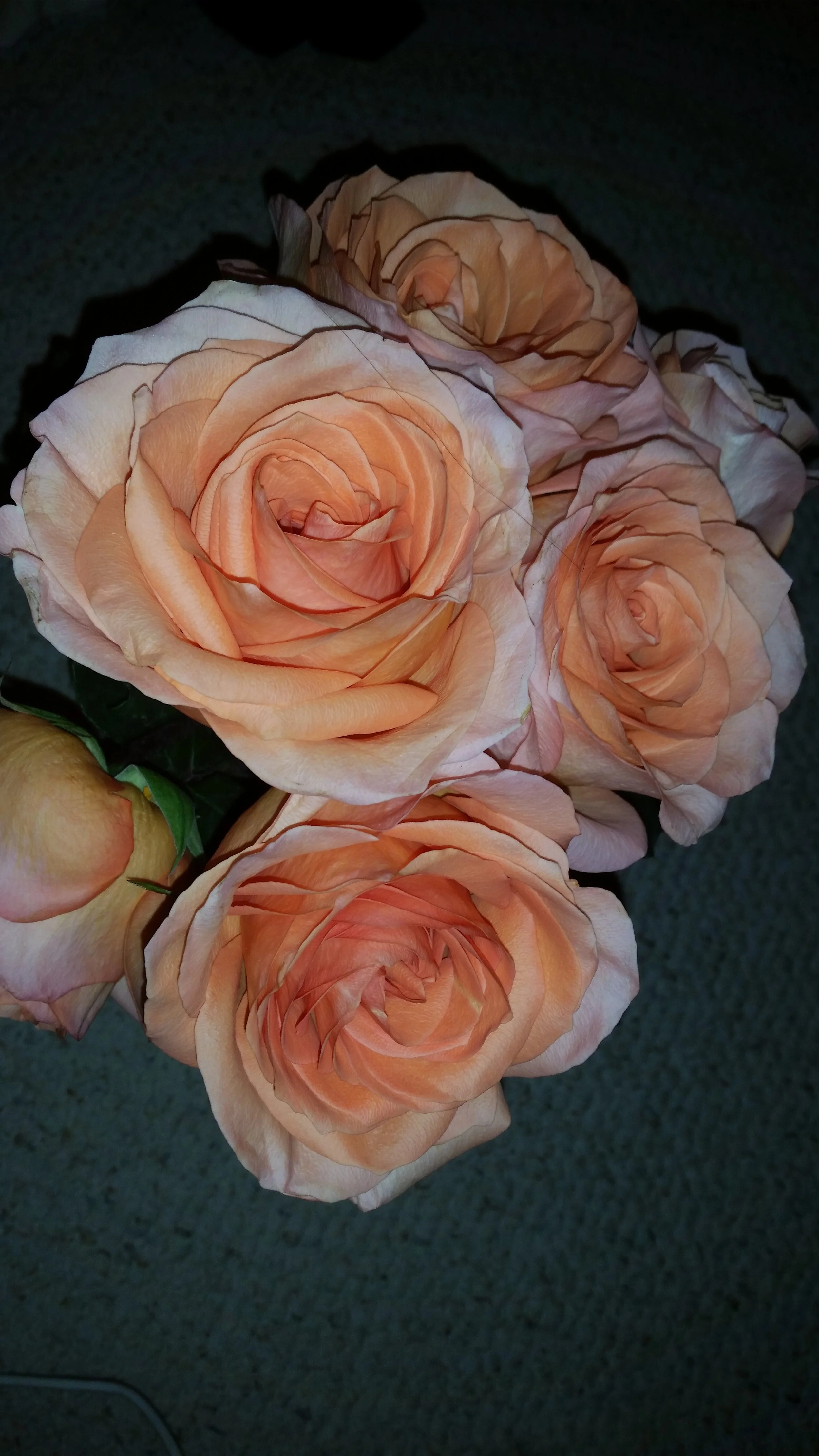 20160601_235210.jpg