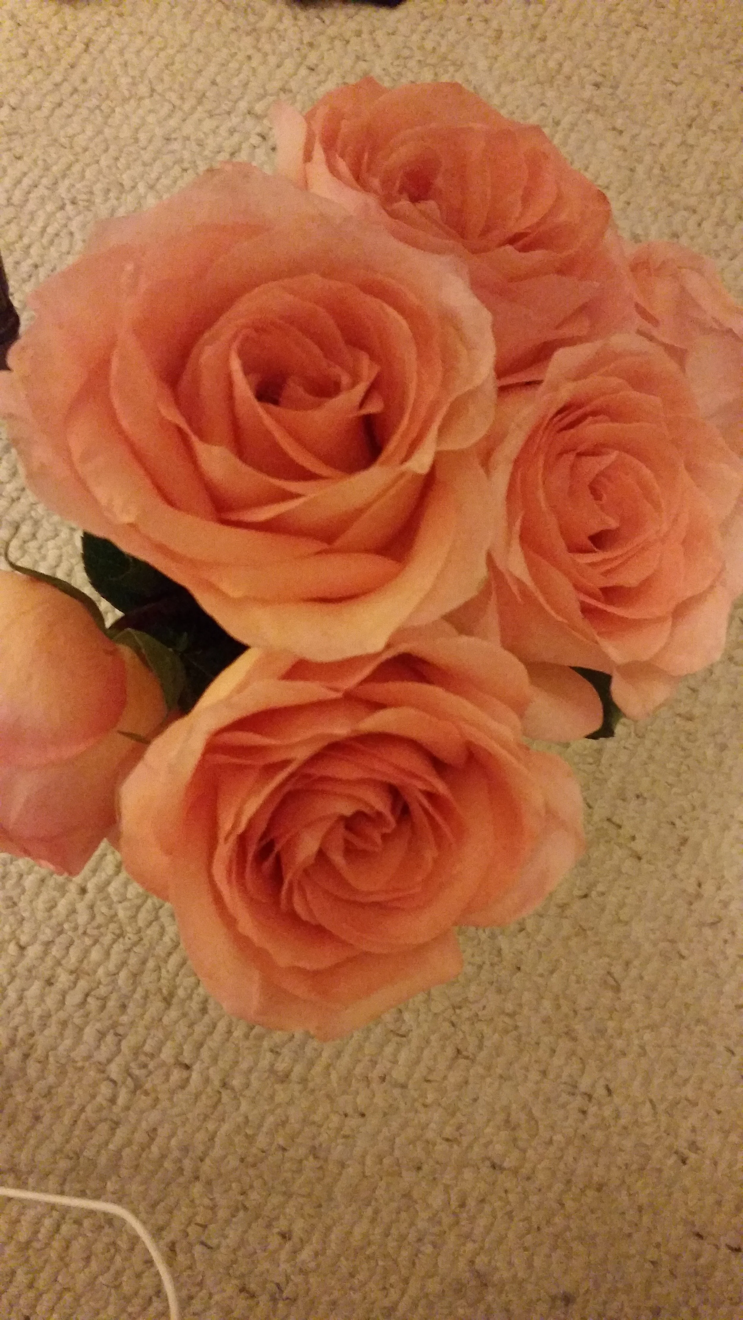 20160601_235225.jpg