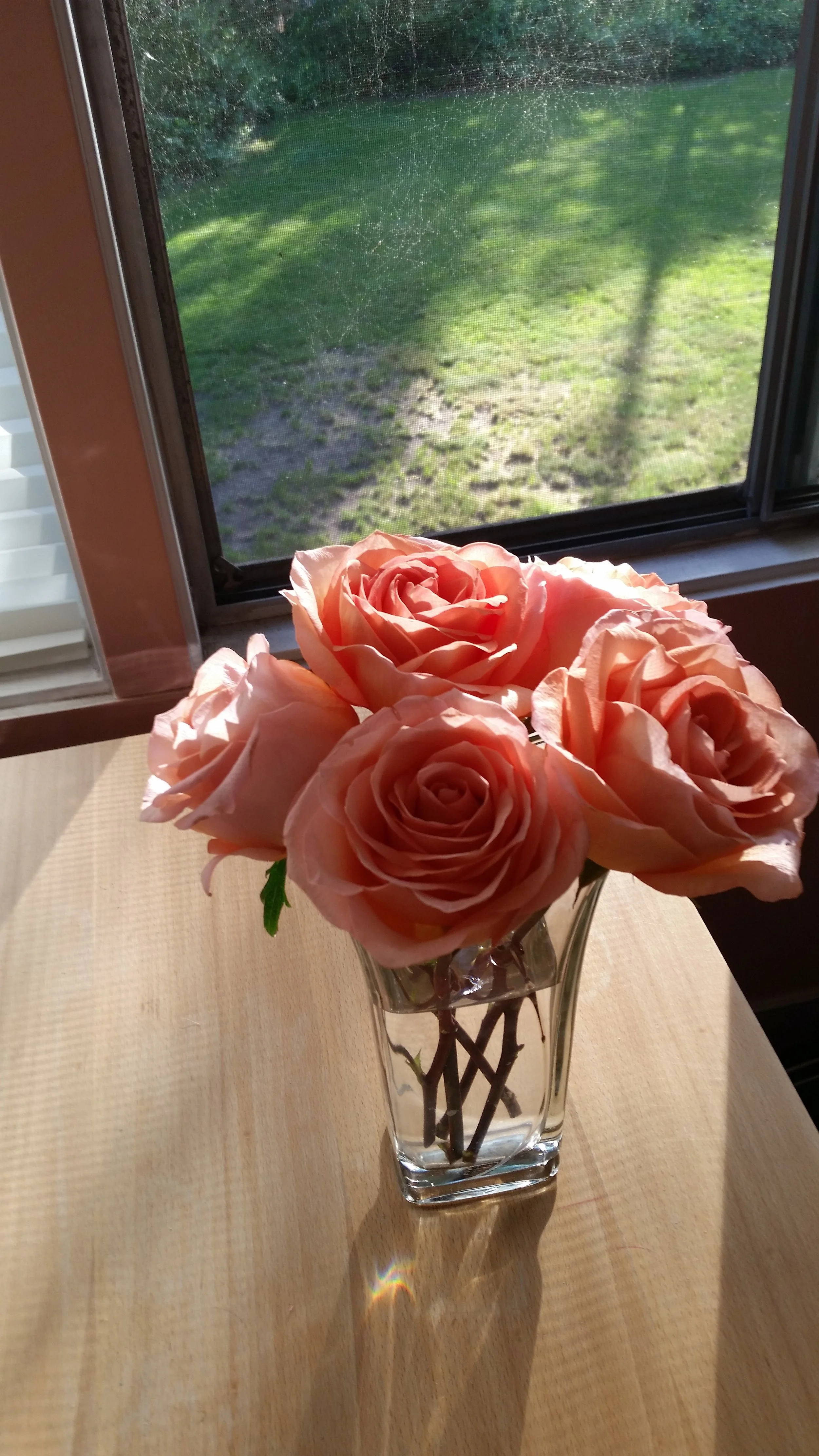 20160604_183755.jpg