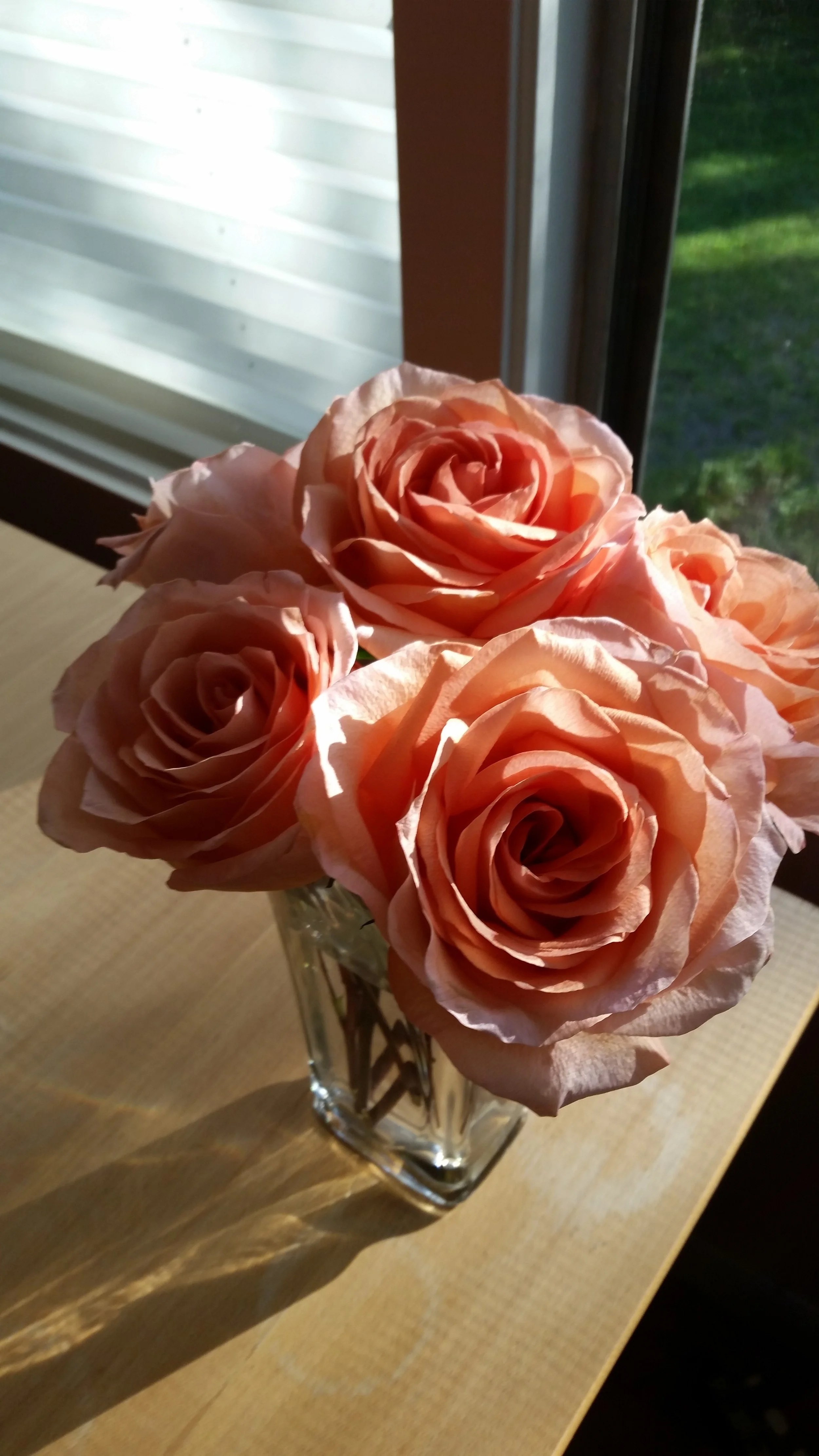 20160604_183813.jpg