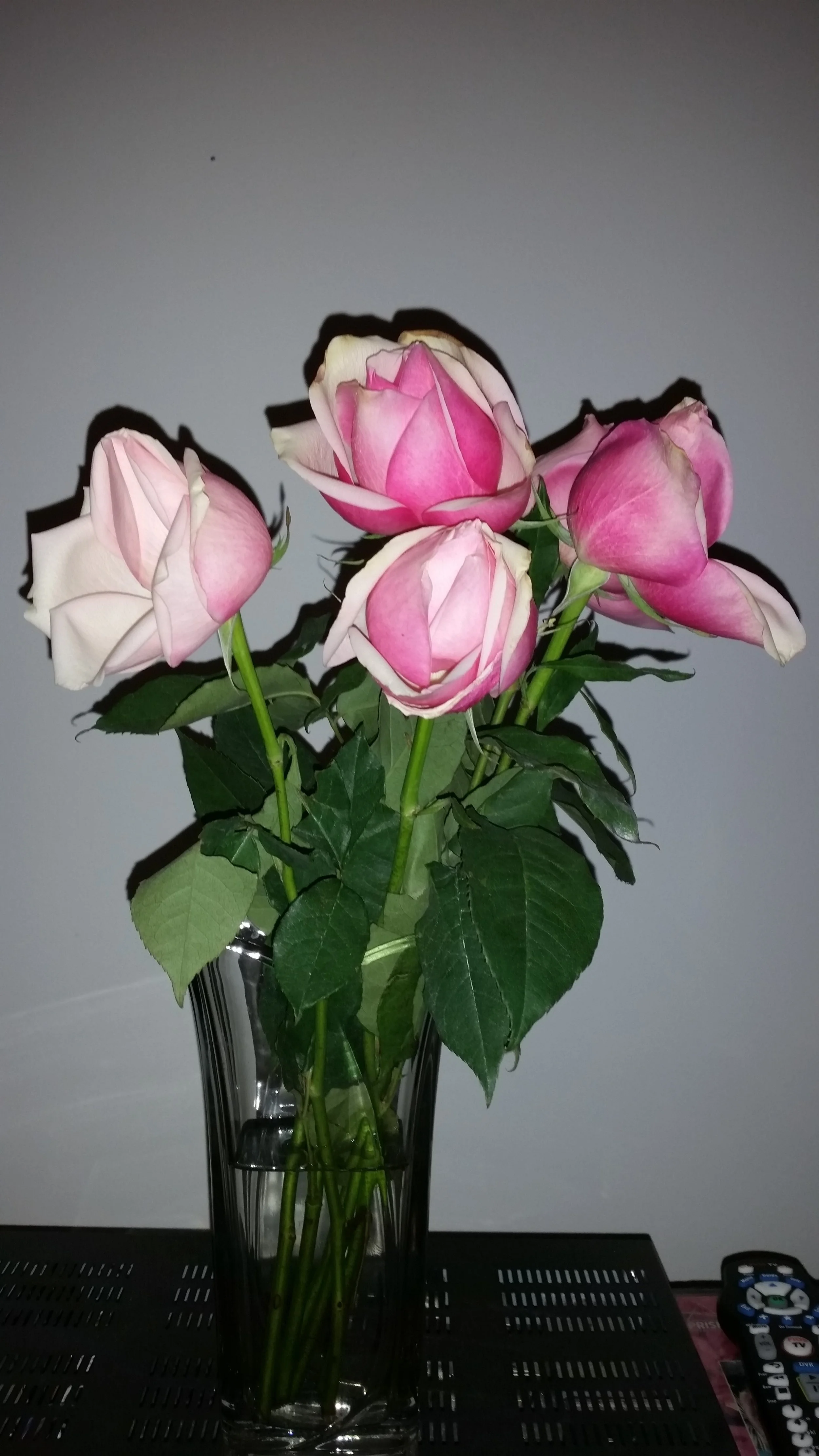 20160618_000556.jpg