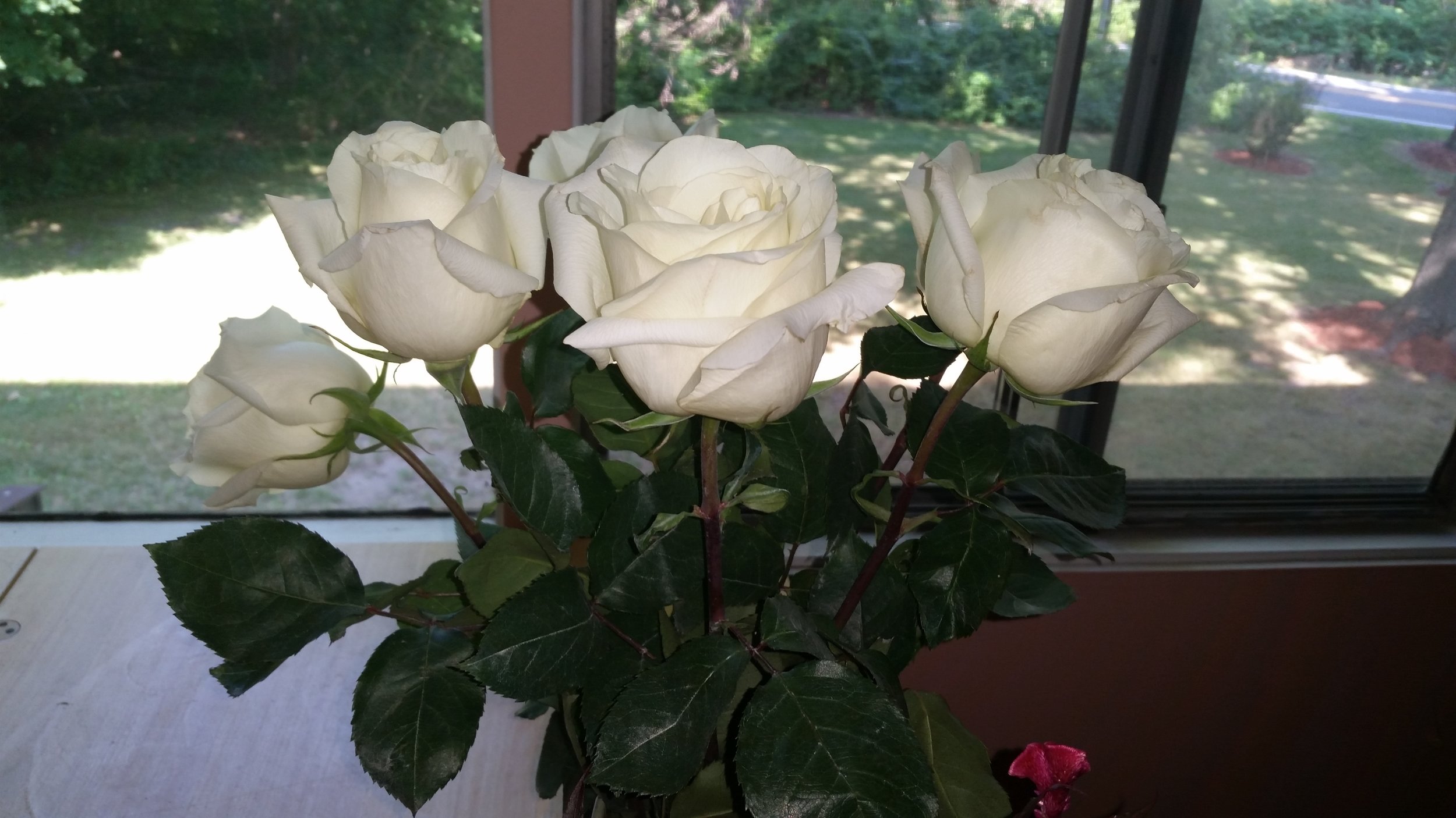 20160627_091510.jpg