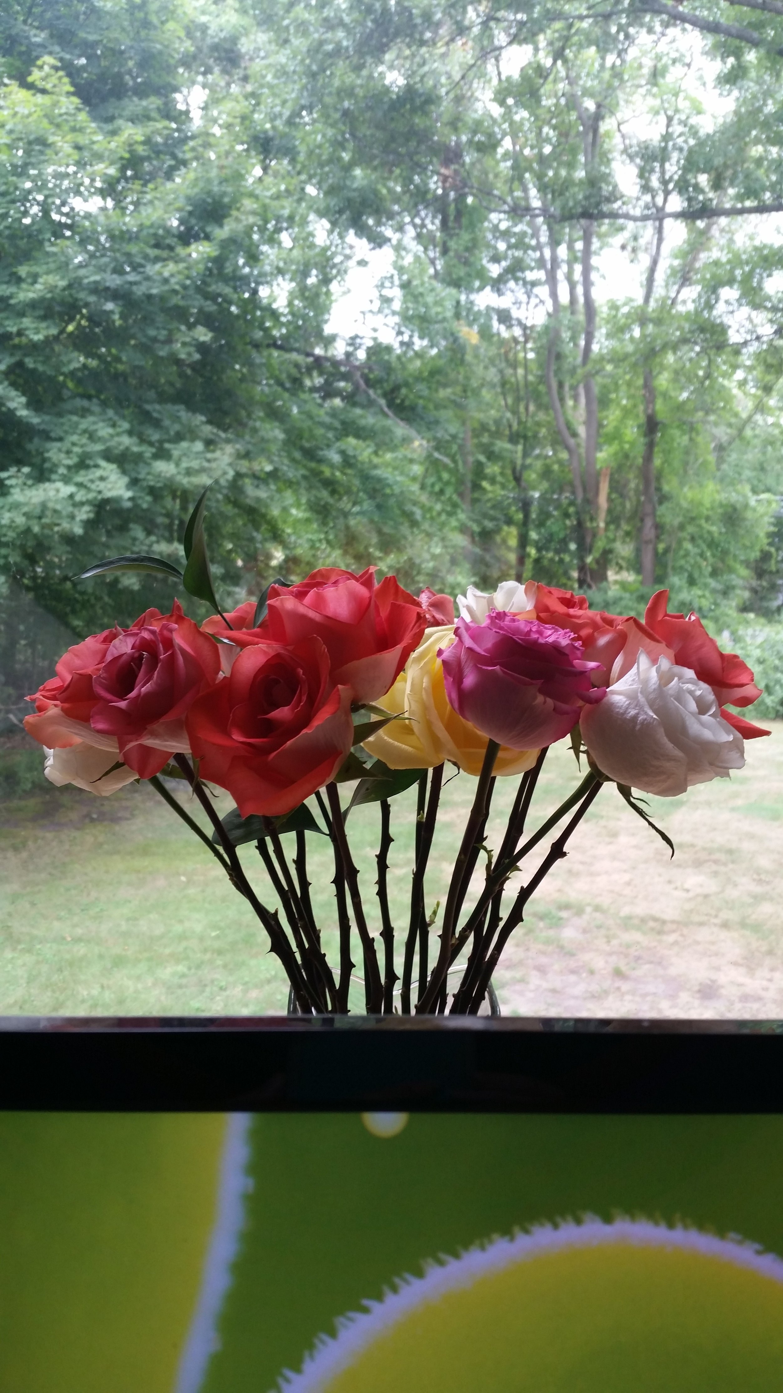 20160908_103015.jpg