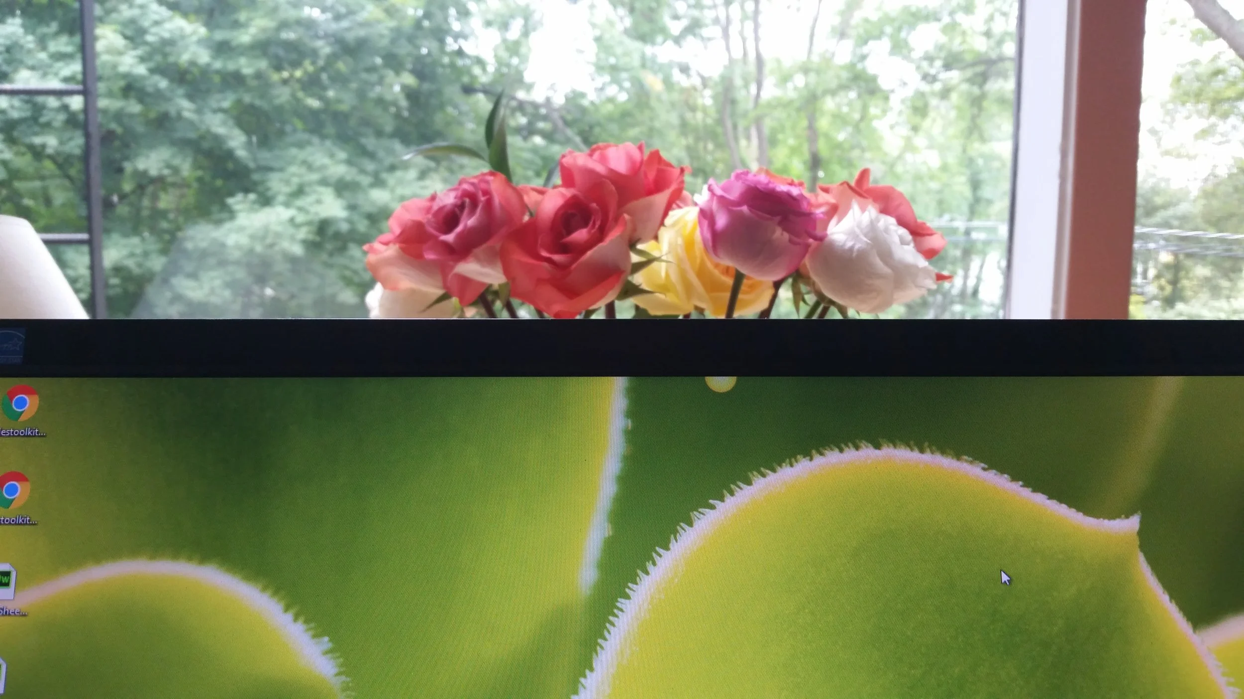 20160908_103110.jpg