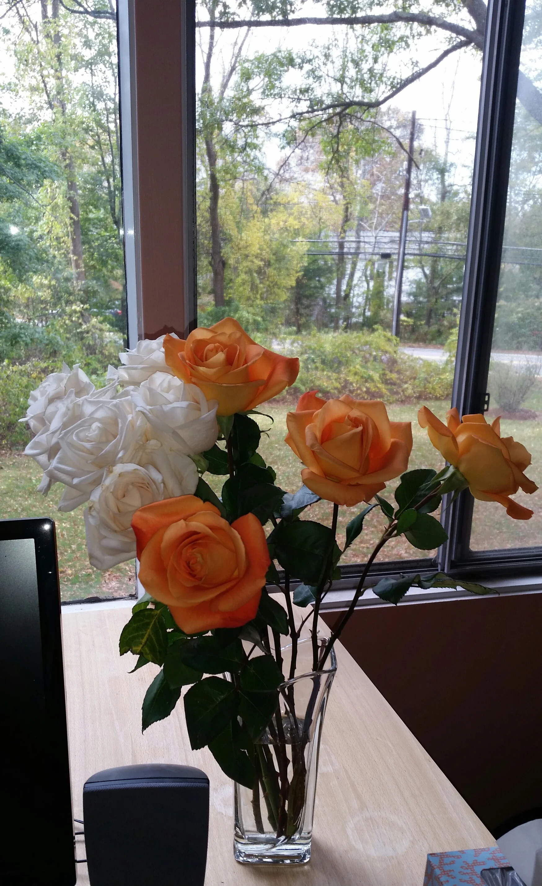 20161030_135514-1.jpg