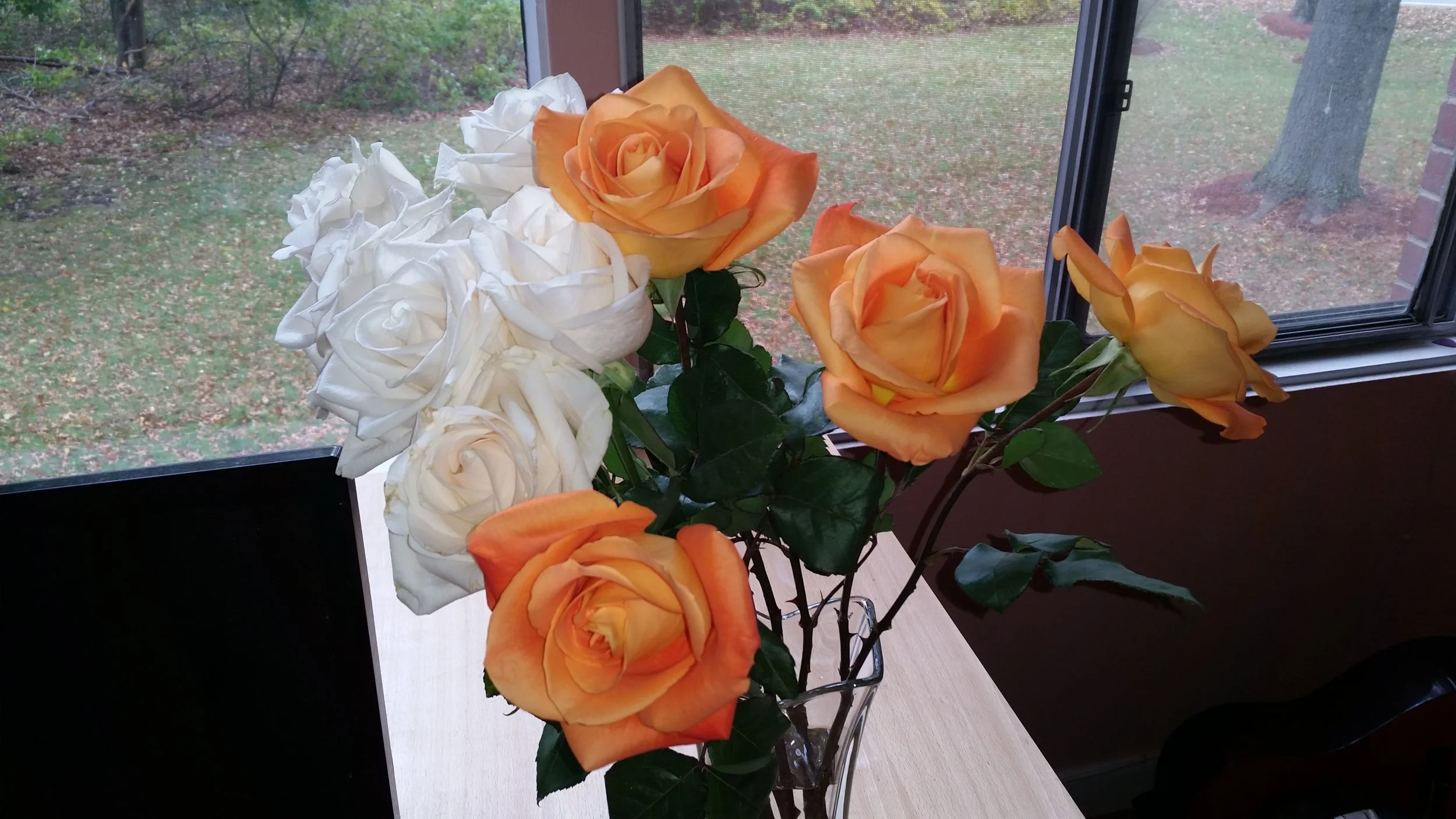 20161030_135634.jpg