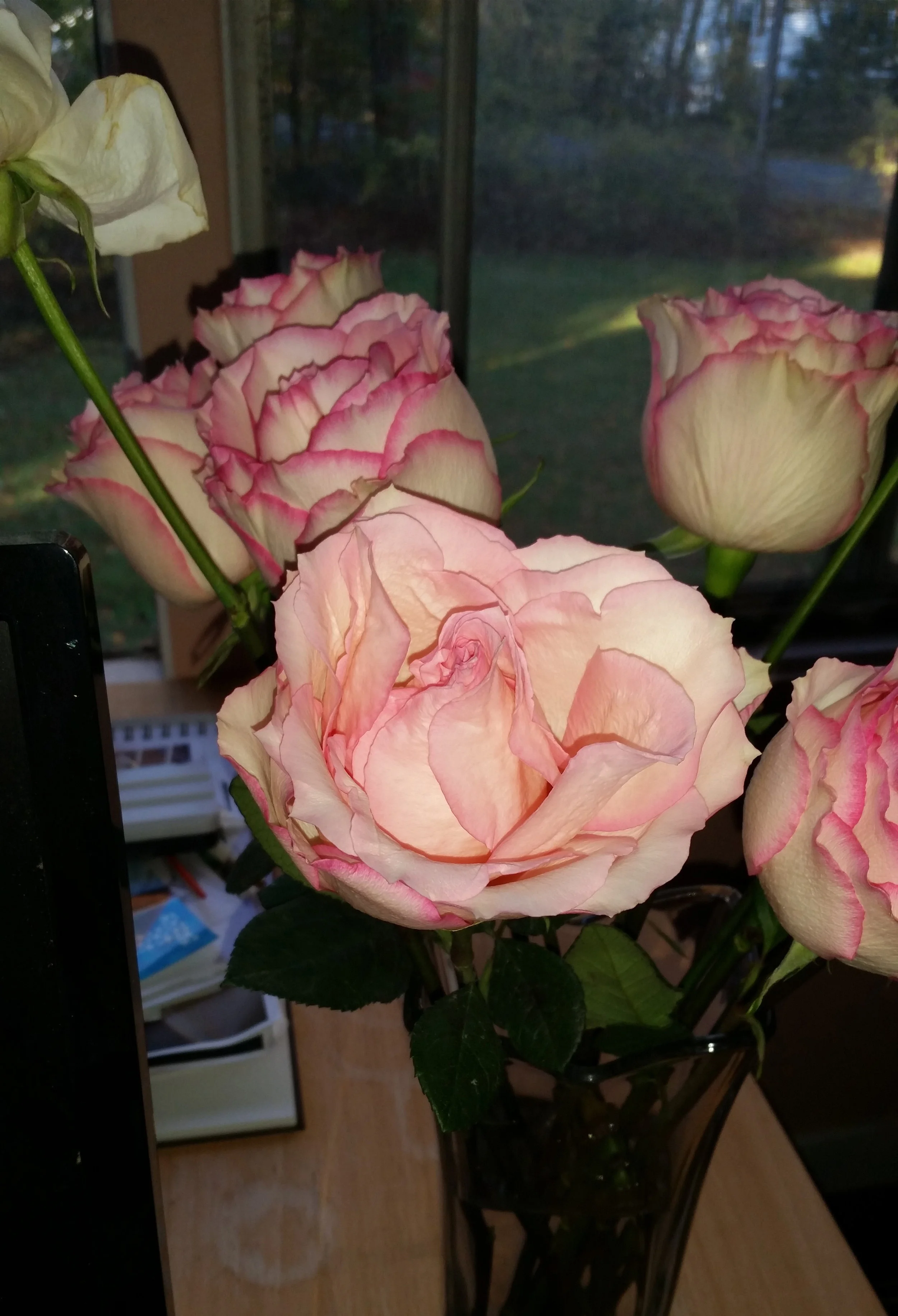 20161107_075746-crop.jpg