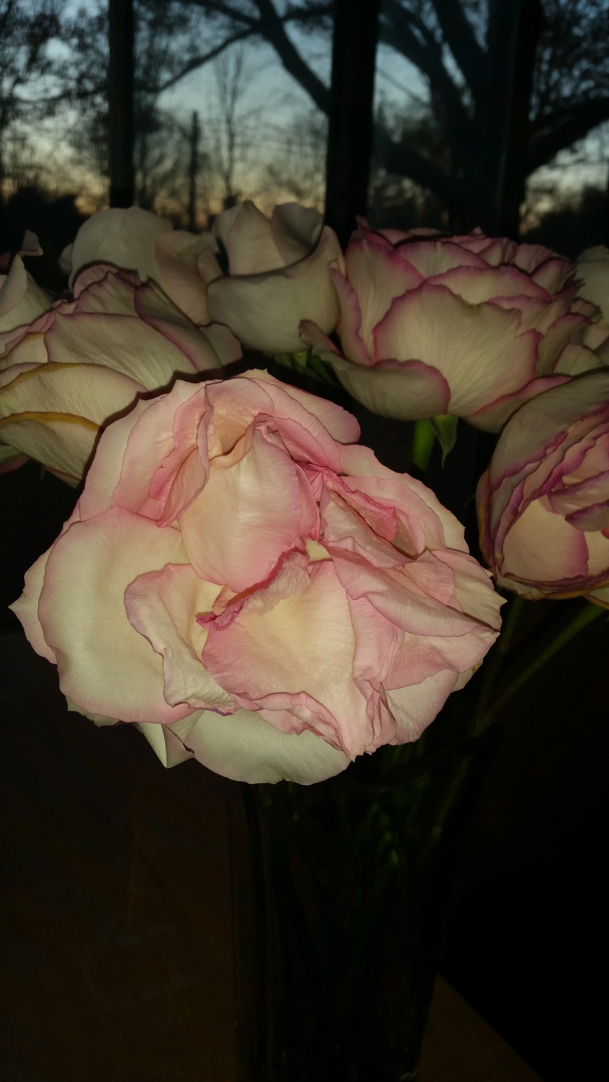 20161117_161034.jpg
