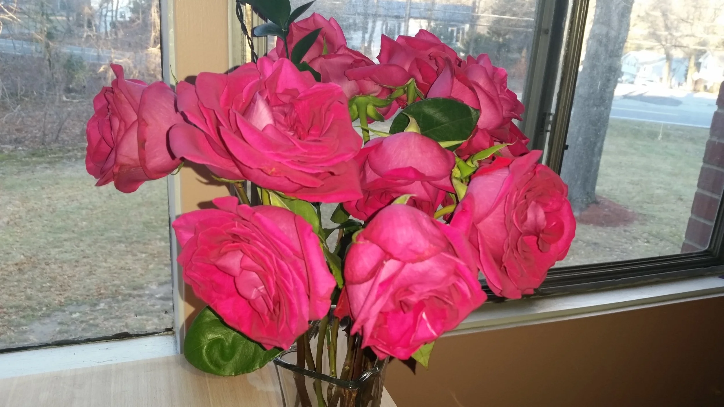 20170105_082025.jpg