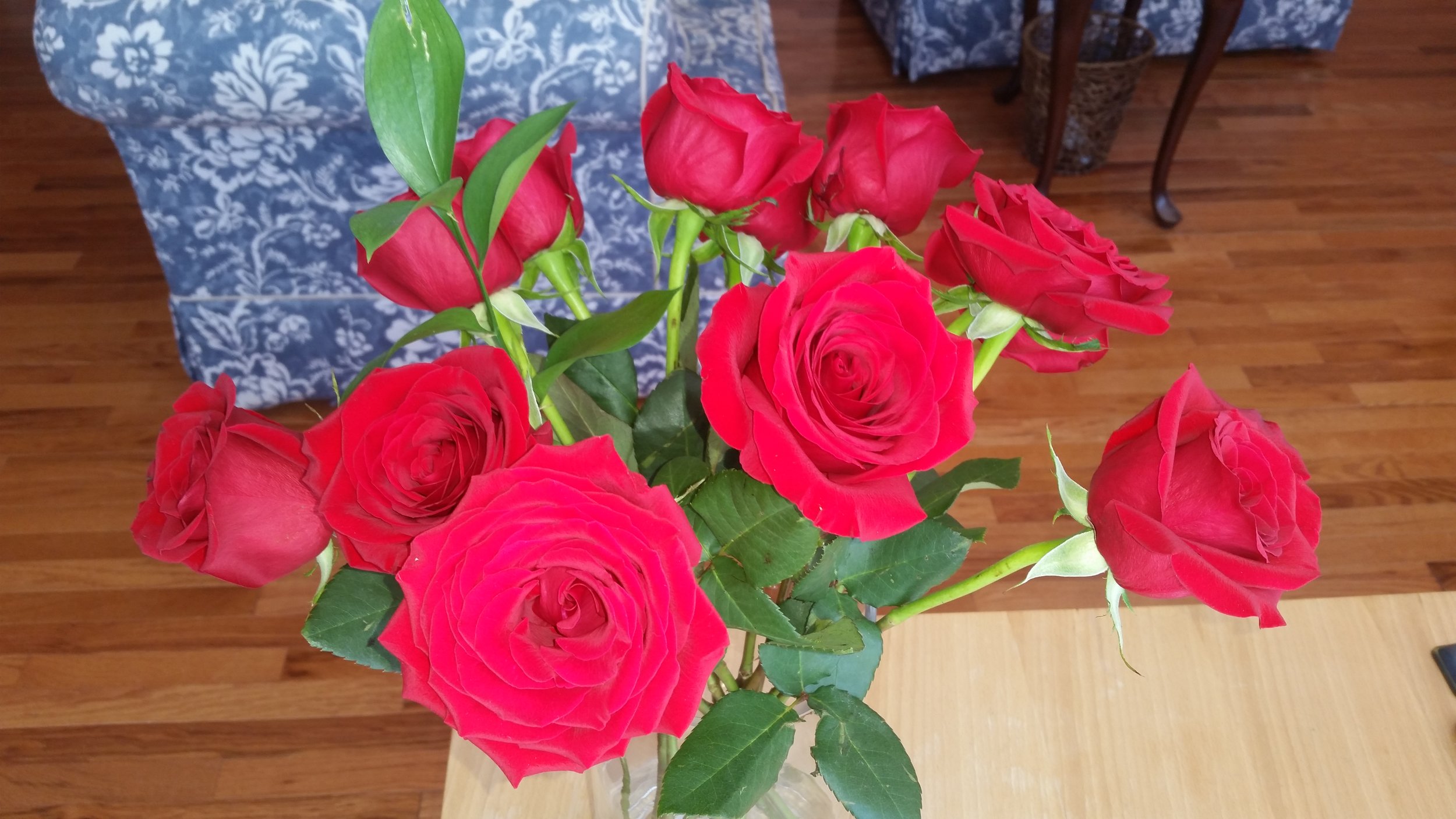 20170218_124049.jpg