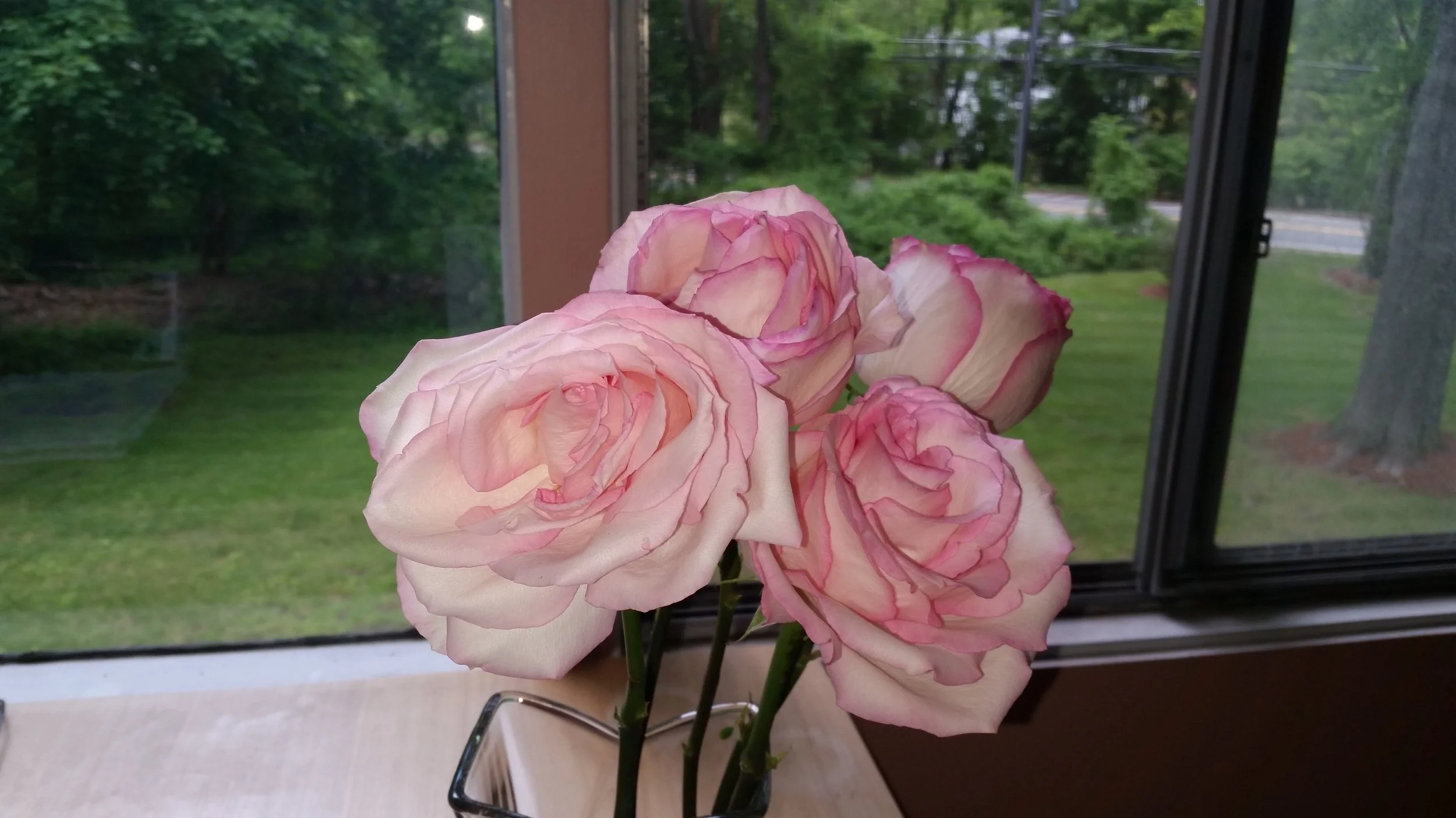 20170527_131453.jpg