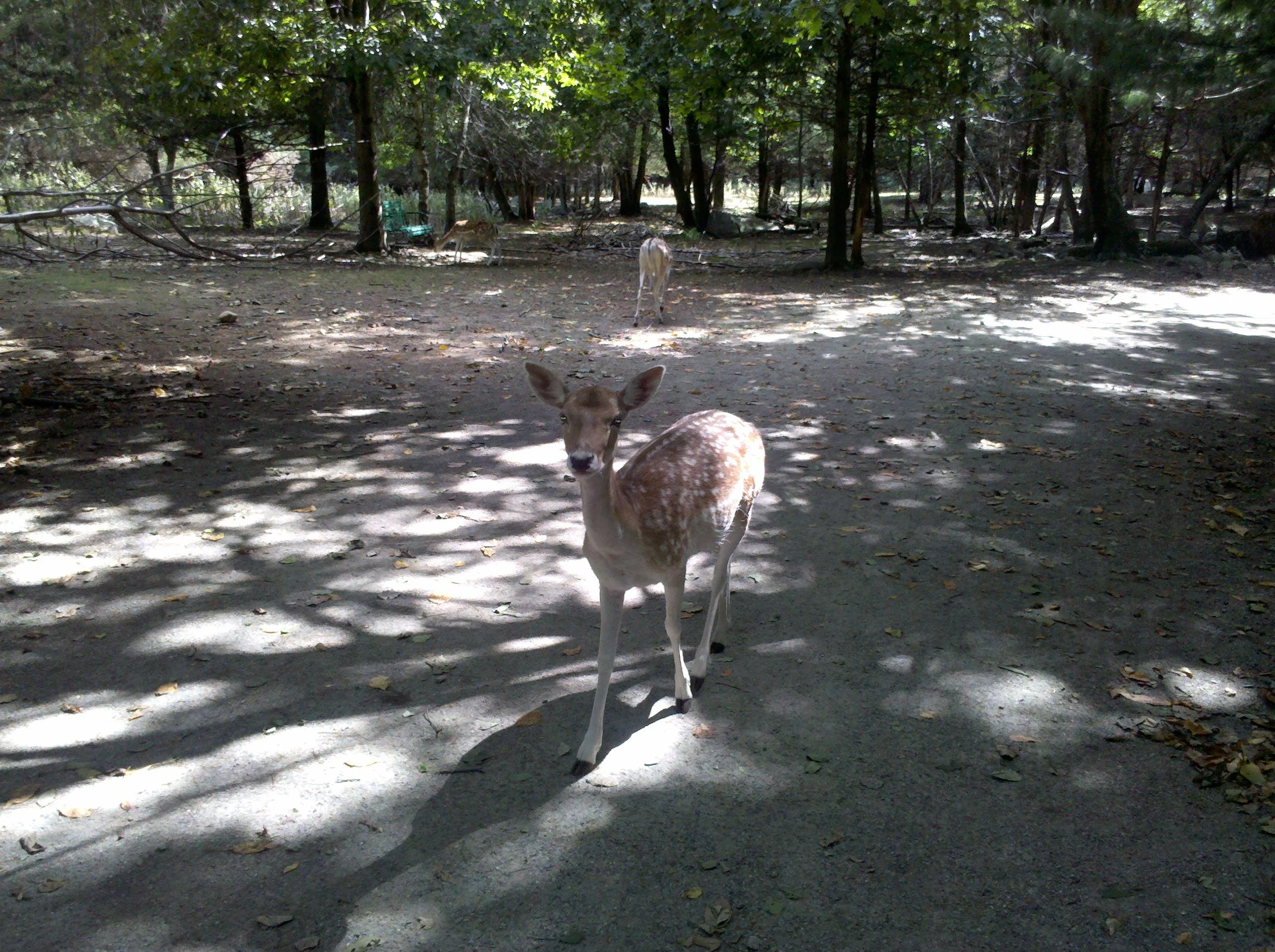 IMG_20100905_141009.jpg