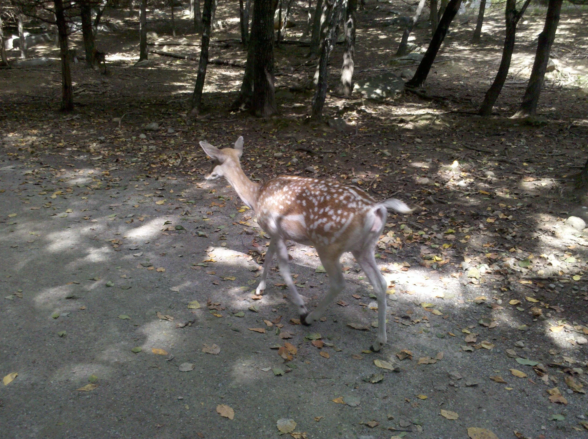 IMG_20100905_141016.jpg