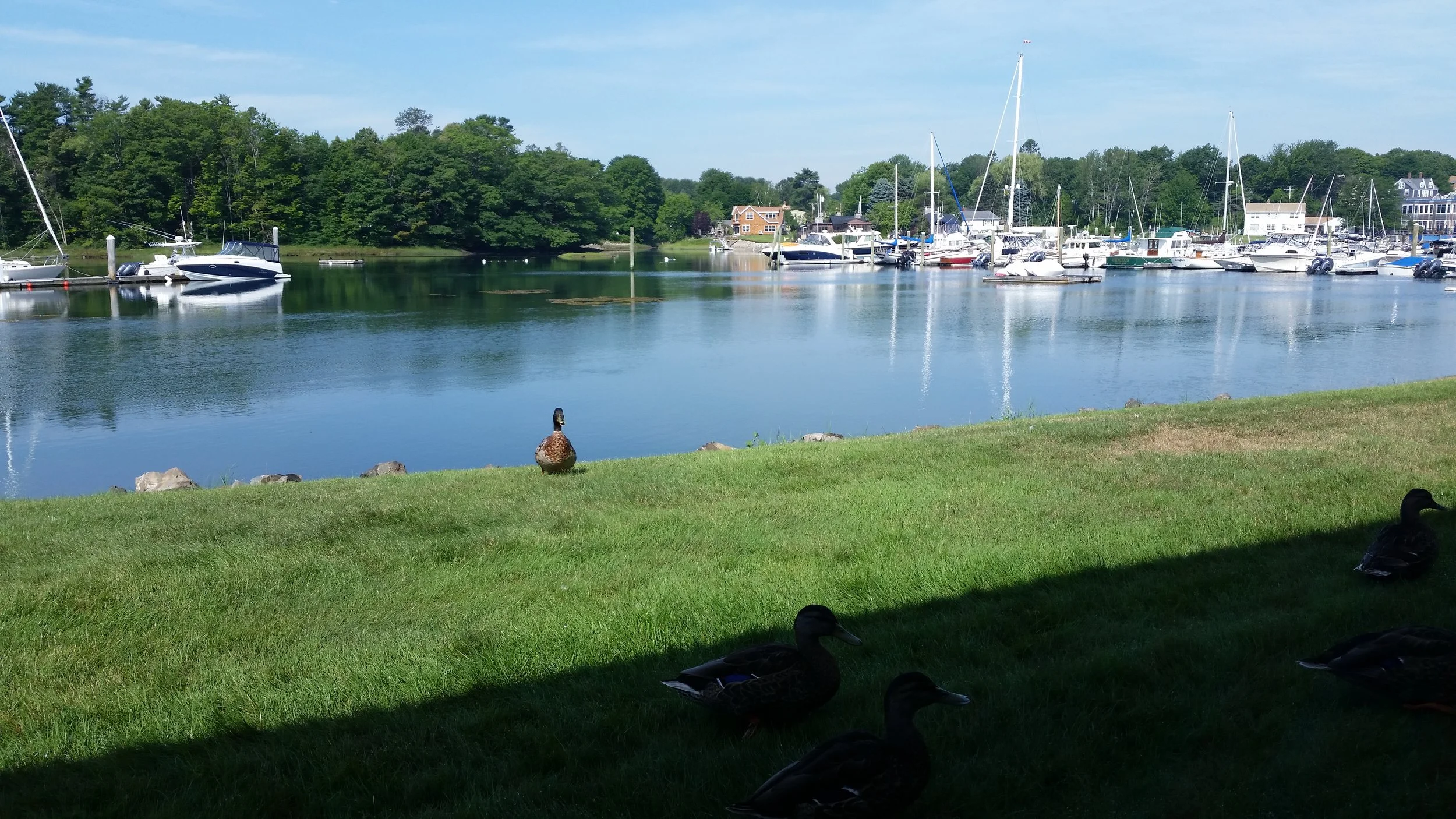 20160718_092931.jpg