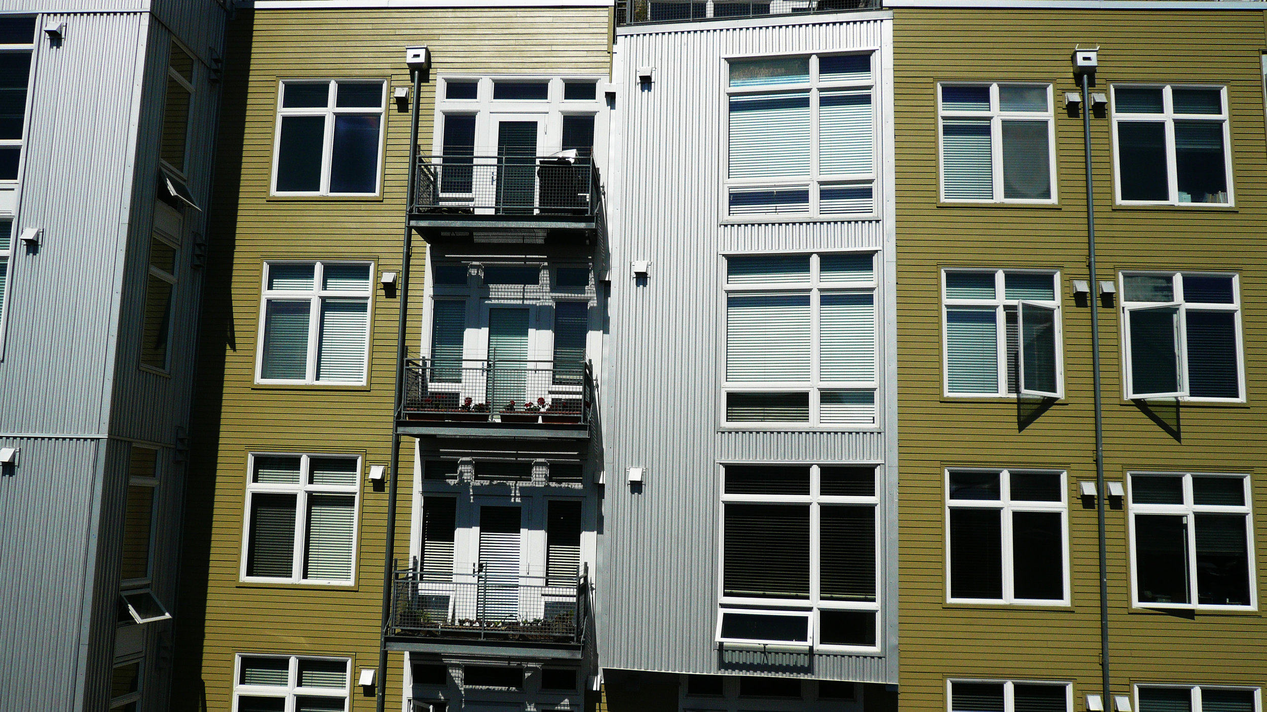 P1080840-adjust.jpg