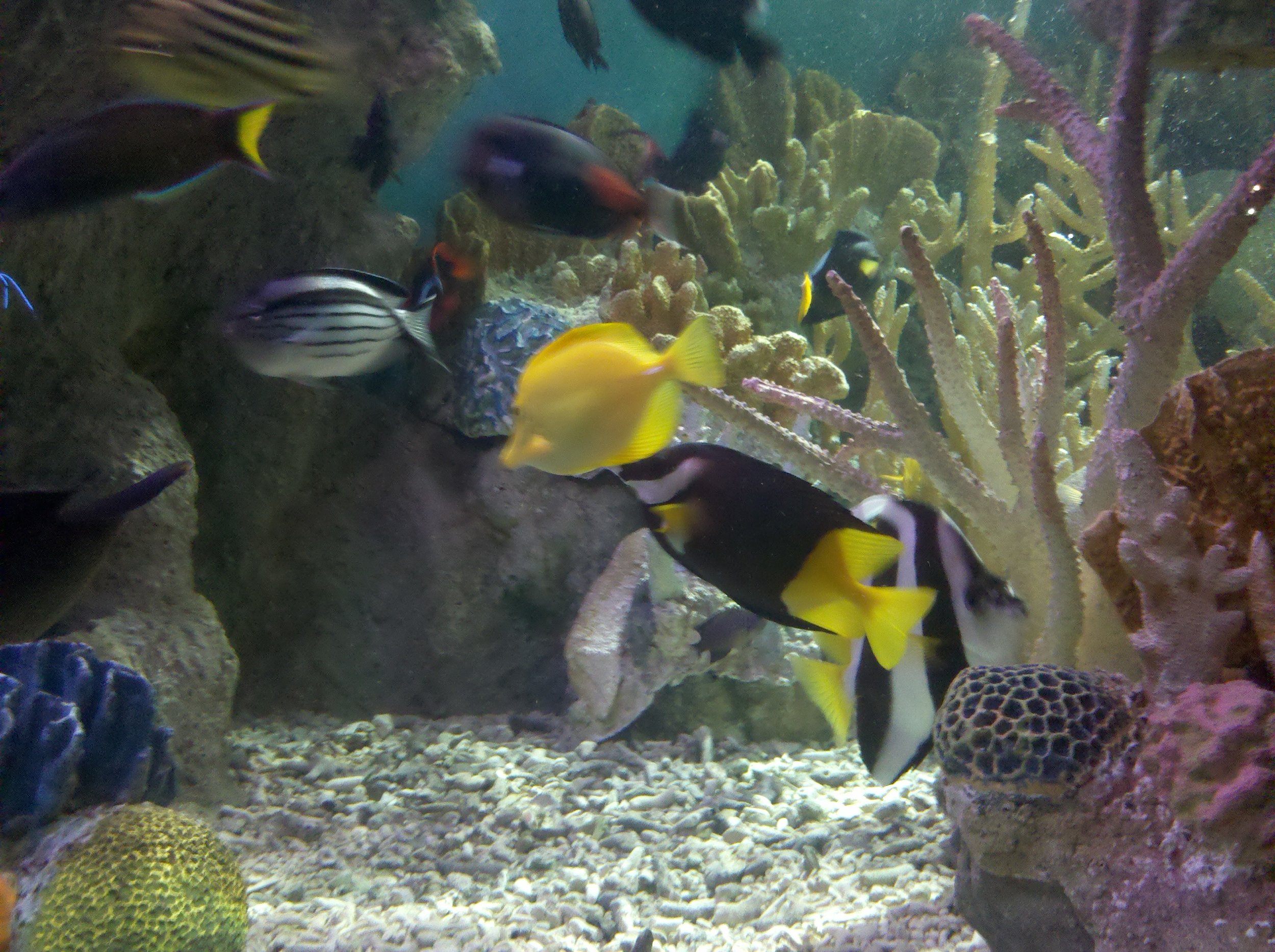 IMG_20110626_115134.jpg