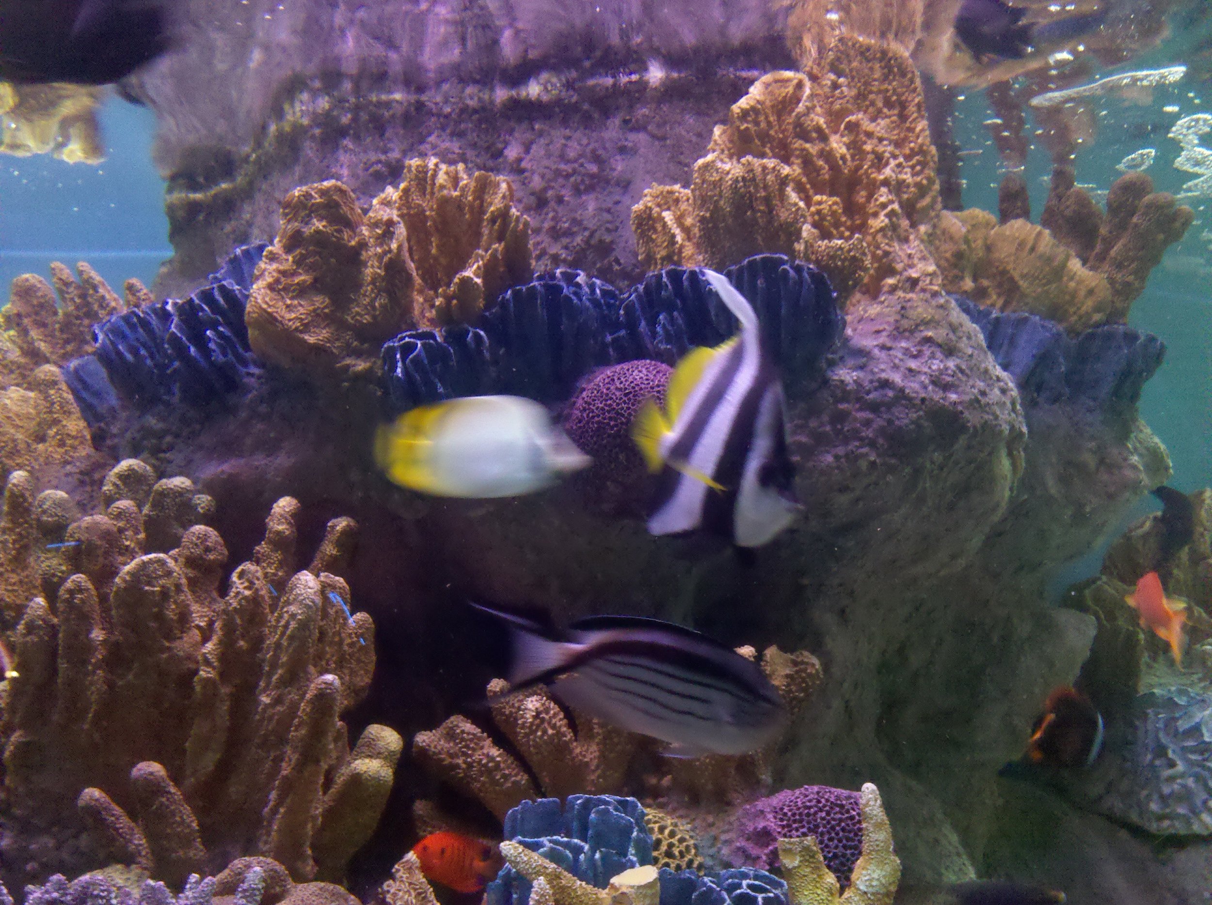 IMG_20110626_115200.jpg