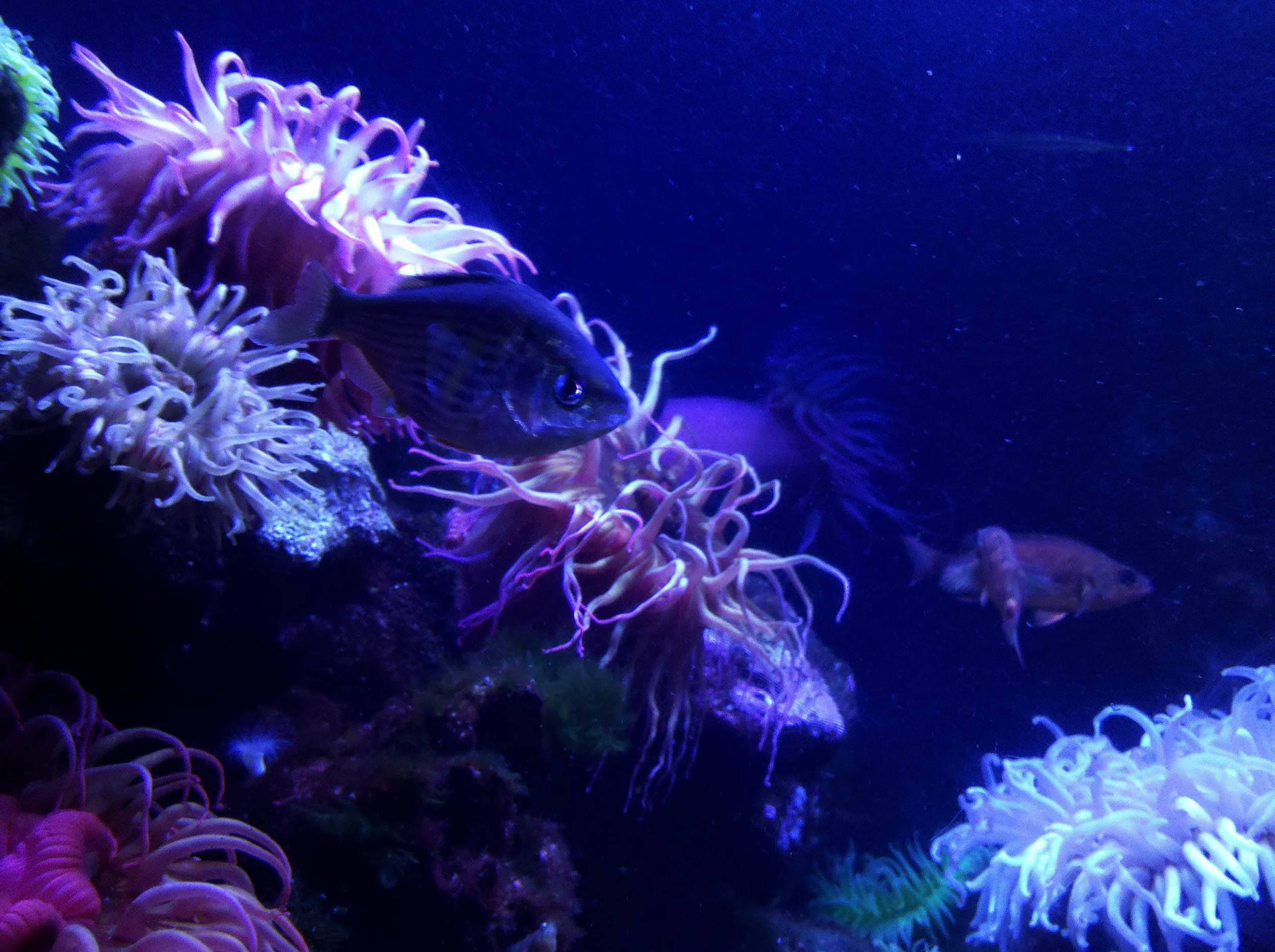 IMG_20110626_125625-adjust.jpg