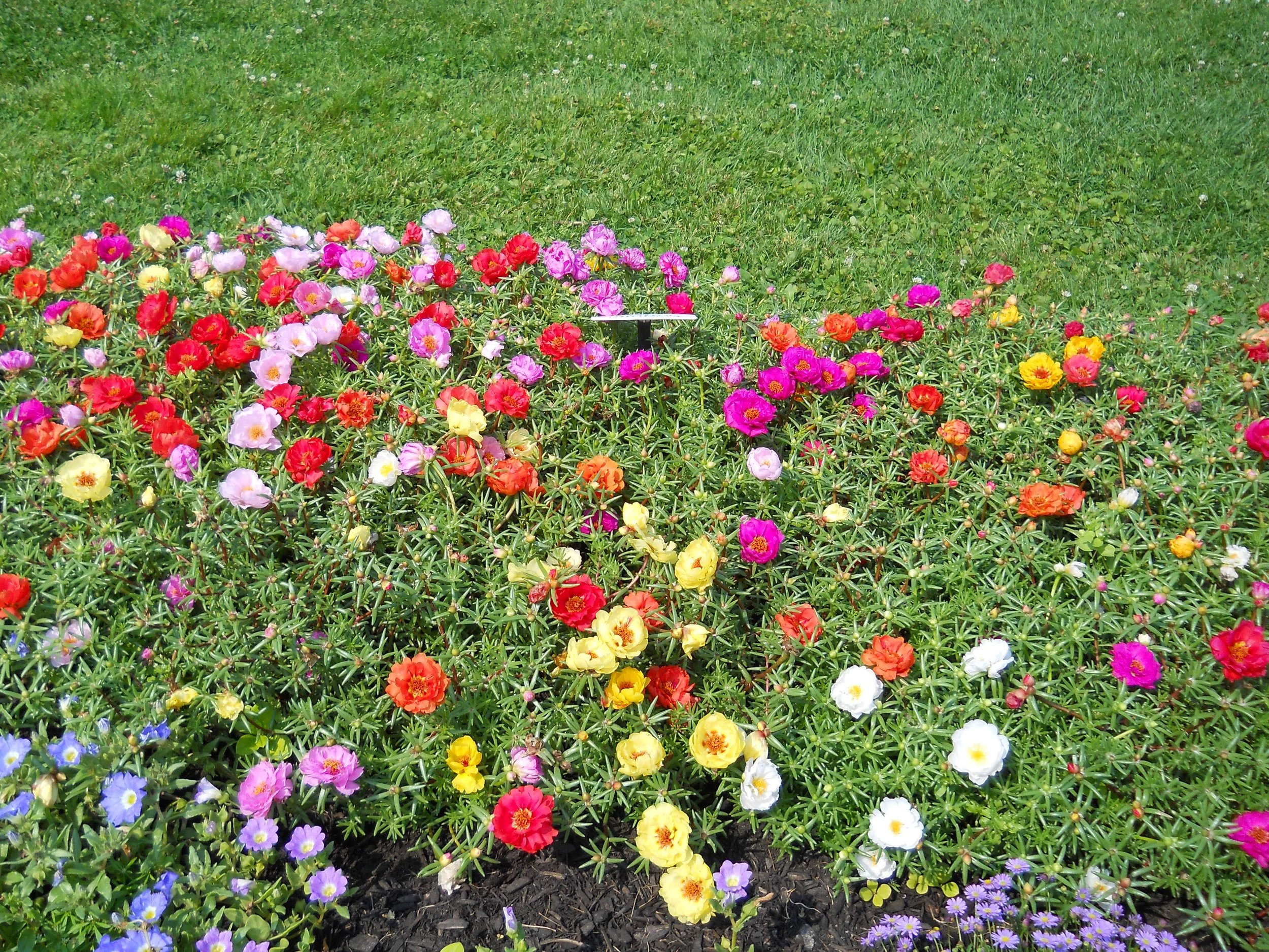 DSCN0751.jpg