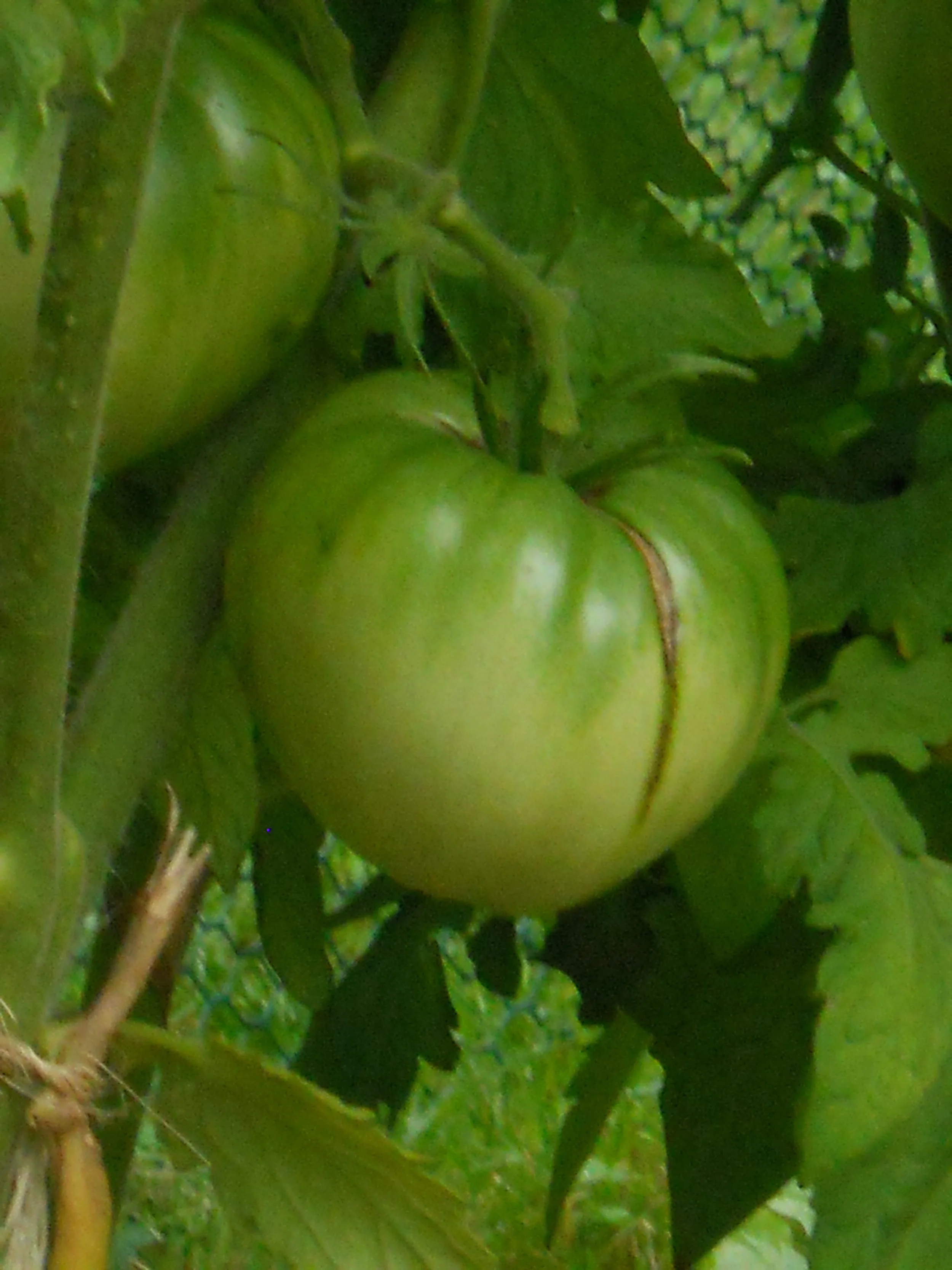 DSCN0867.JPG