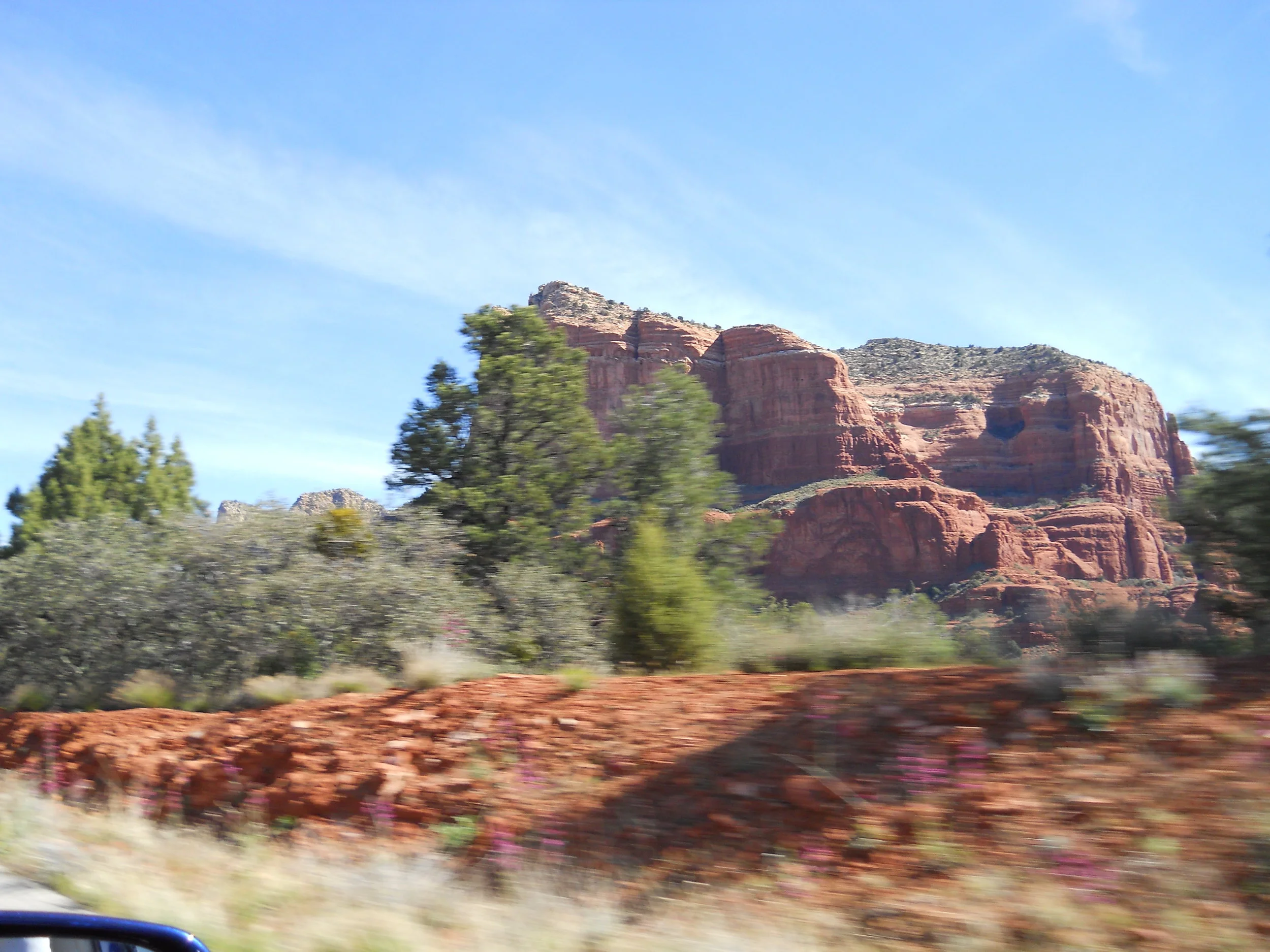 DSCN0508.JPG